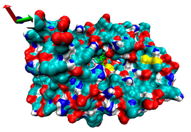 Catalysts 13 00965 i016