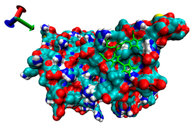 Catalysts 13 00965 i017