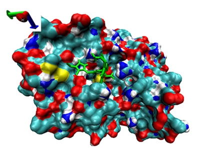 Catalysts 13 00965 i018