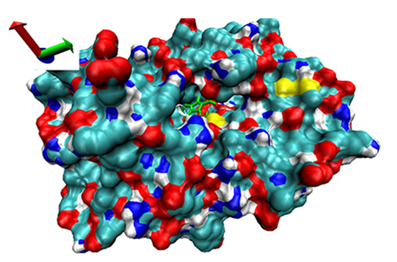 Catalysts 13 00965 i020