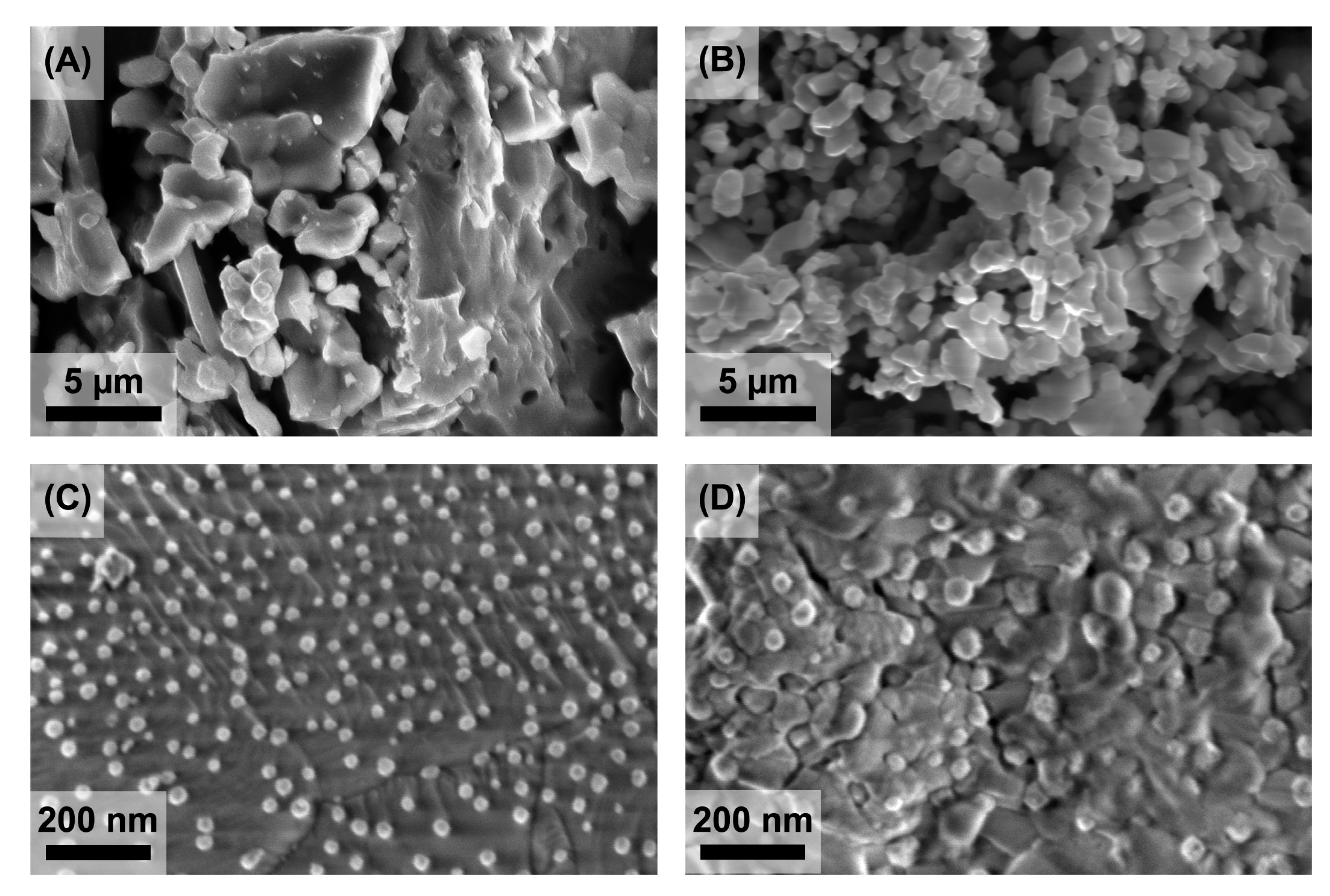 Catalysts 13 00966 g004