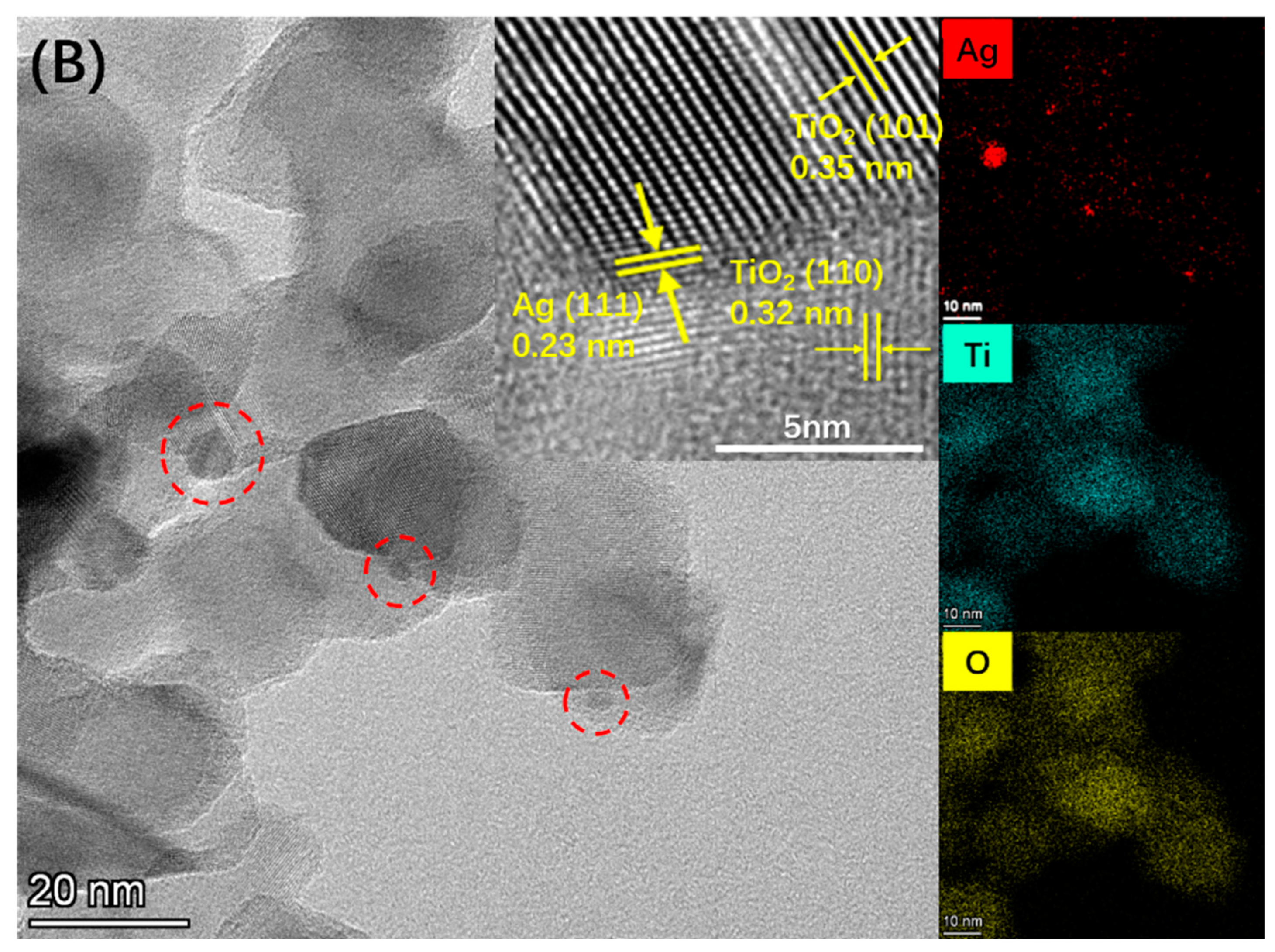 Catalysts 13 00970 g001b Catalysts 13 00970 g001b