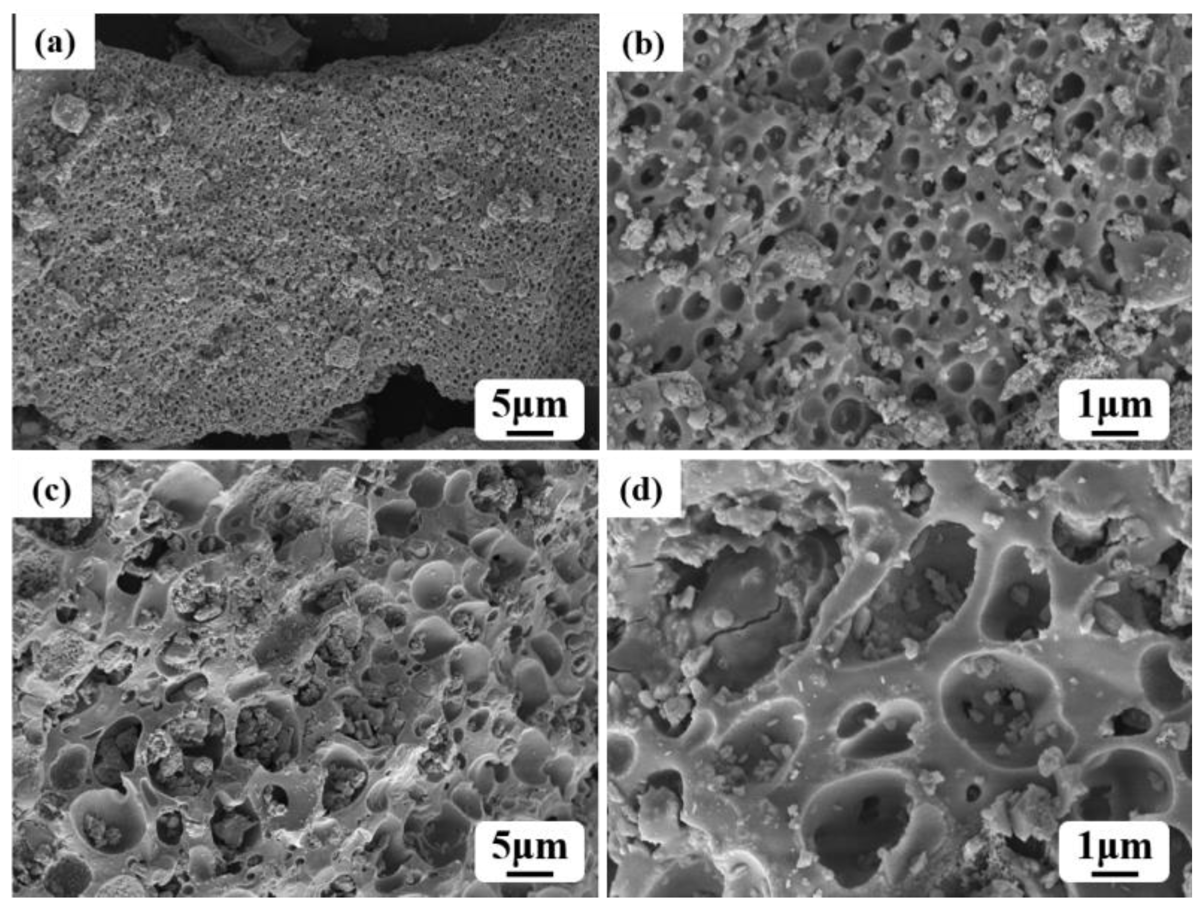 Catalysts 13 00971 g003