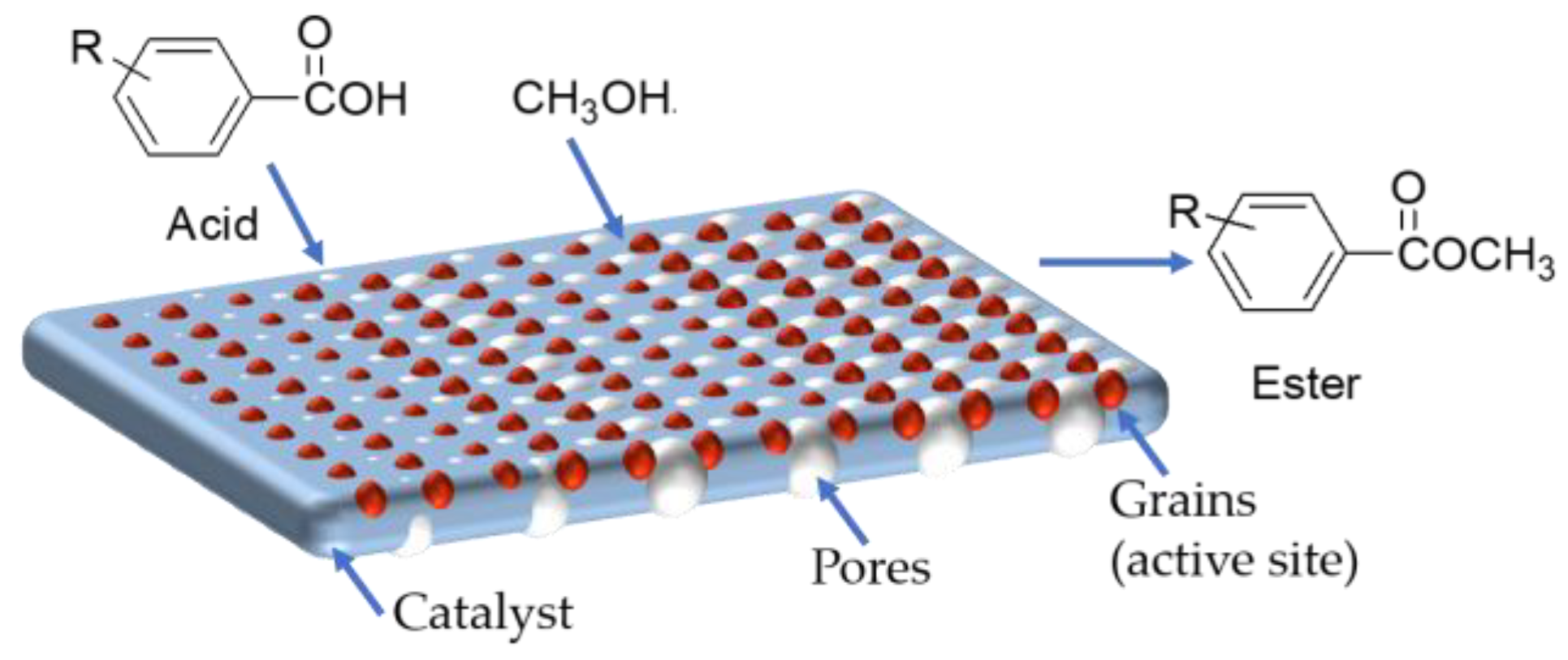 Catalysts 13 00971 g004