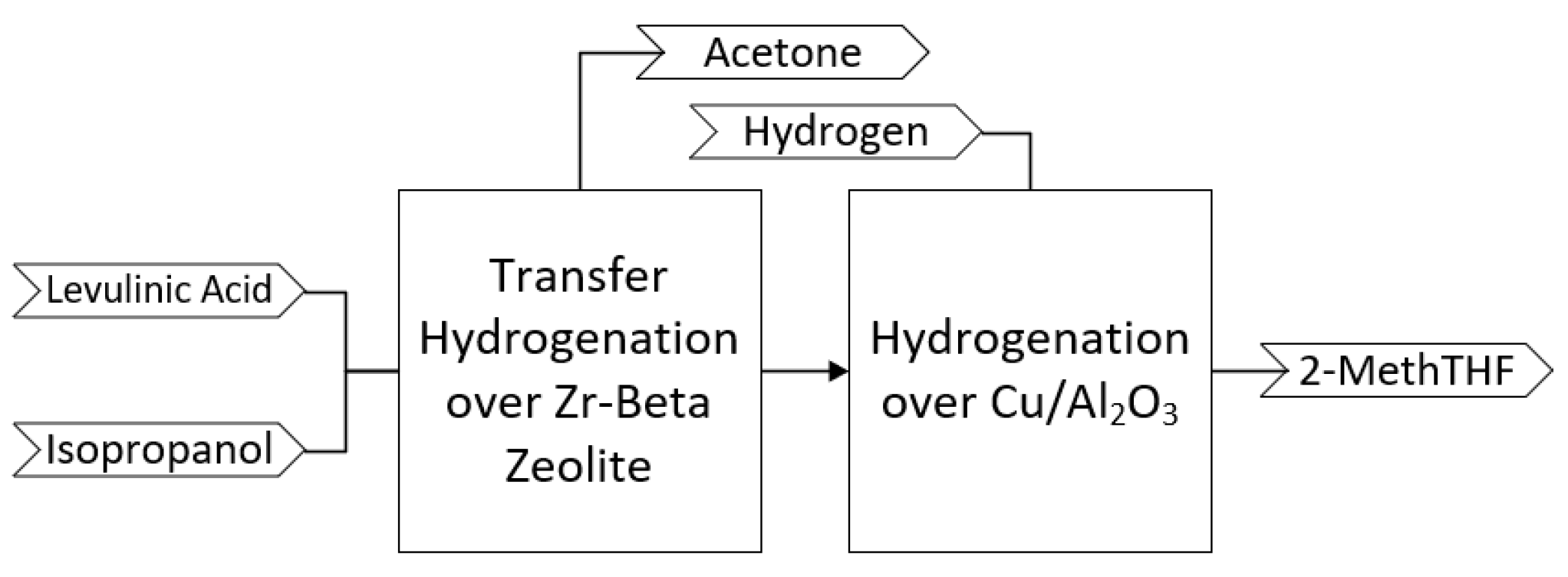 Catalysts 13 00972 g001