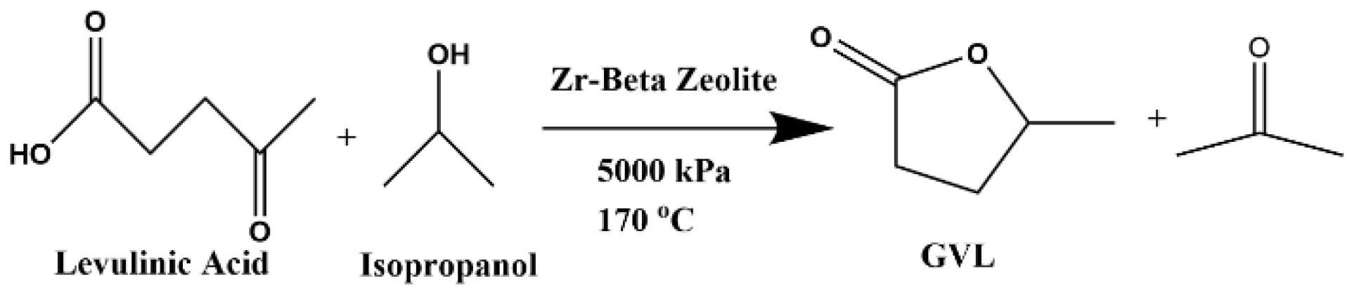Catalysts 13 00972 g002