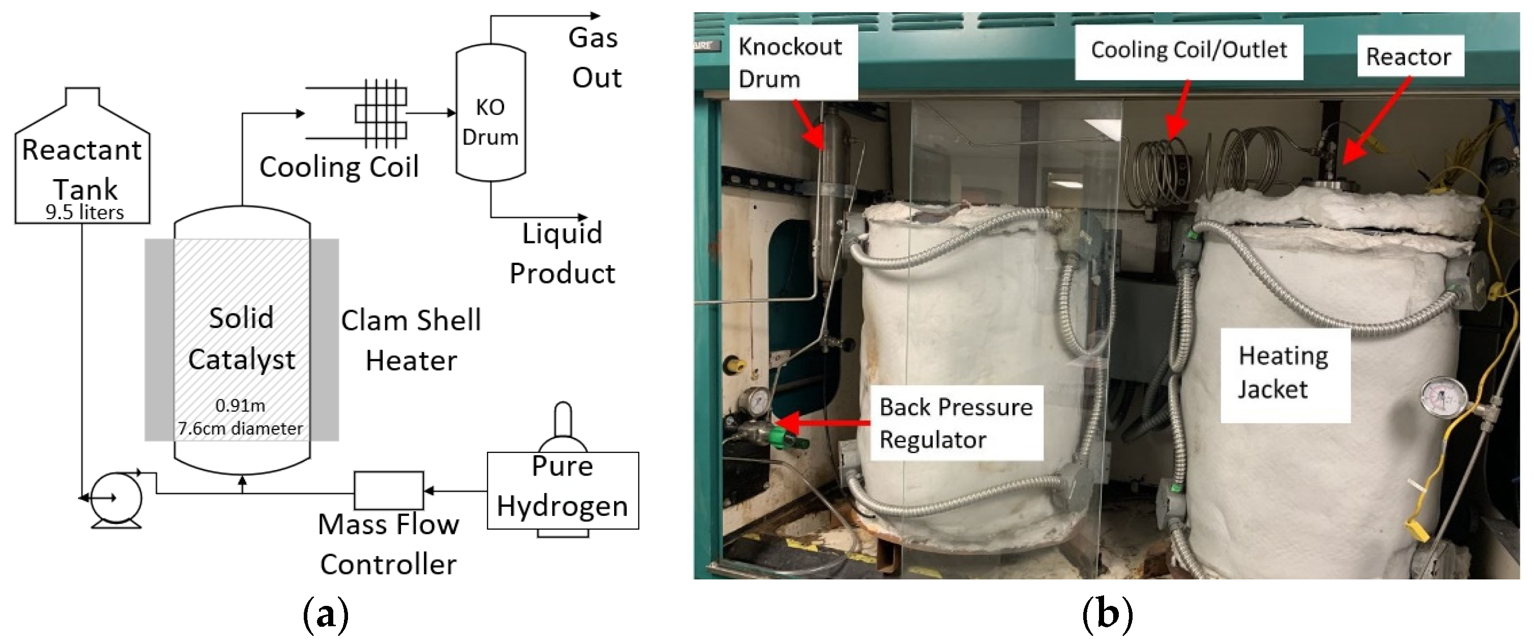 Catalysts 13 00972 g005