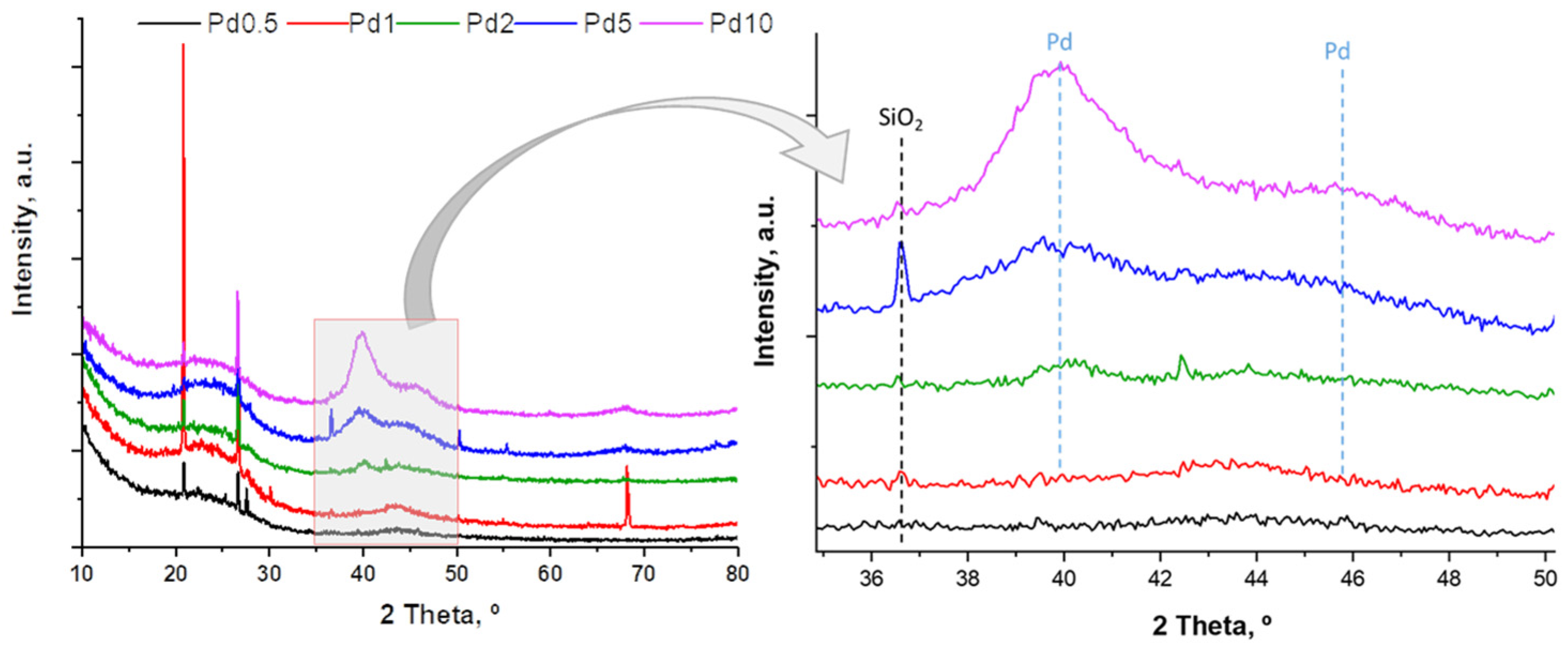 Catalysts 13 00977 g001