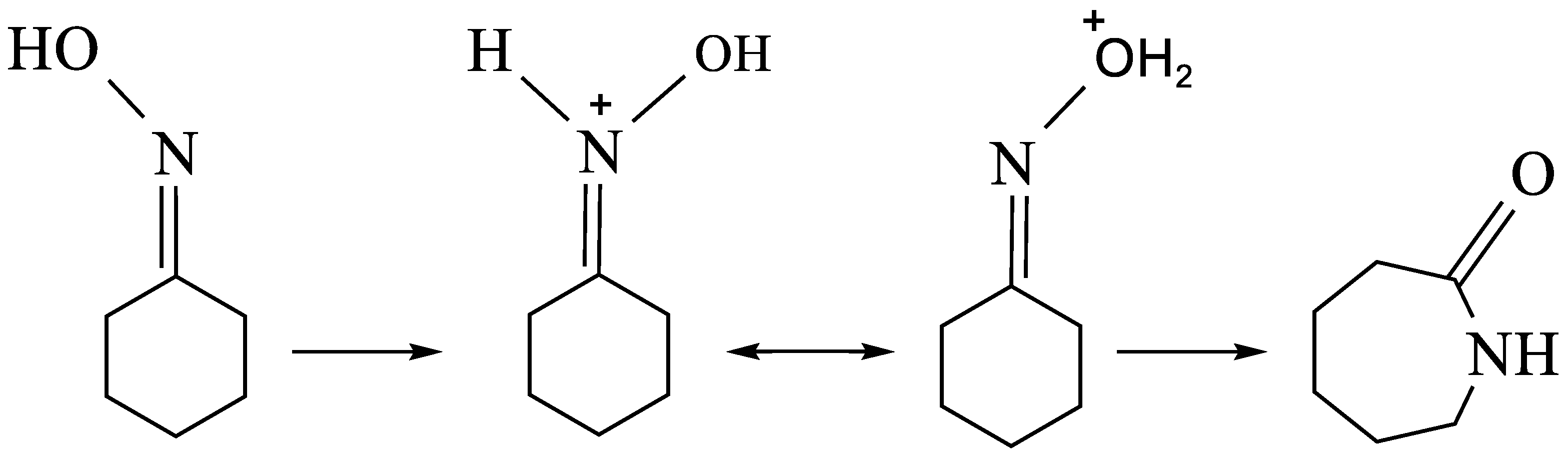 Catalysts 13 00978 sch001