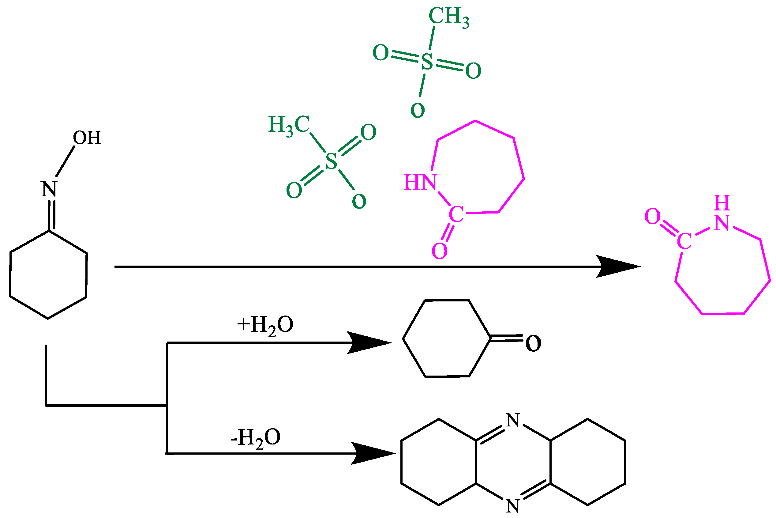 Catalysts 13 00978 sch002
