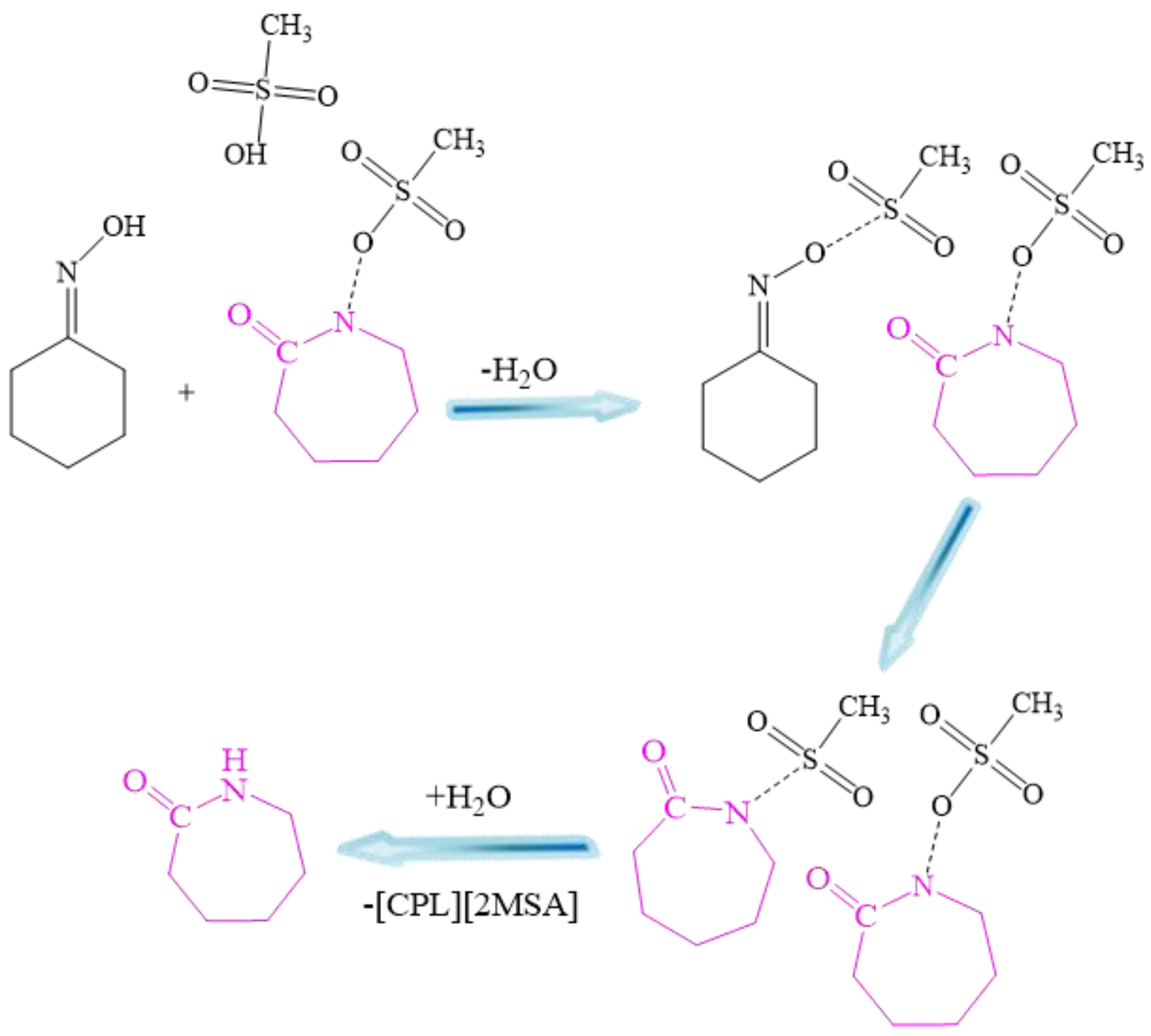 Catalysts 13 00978 sch003