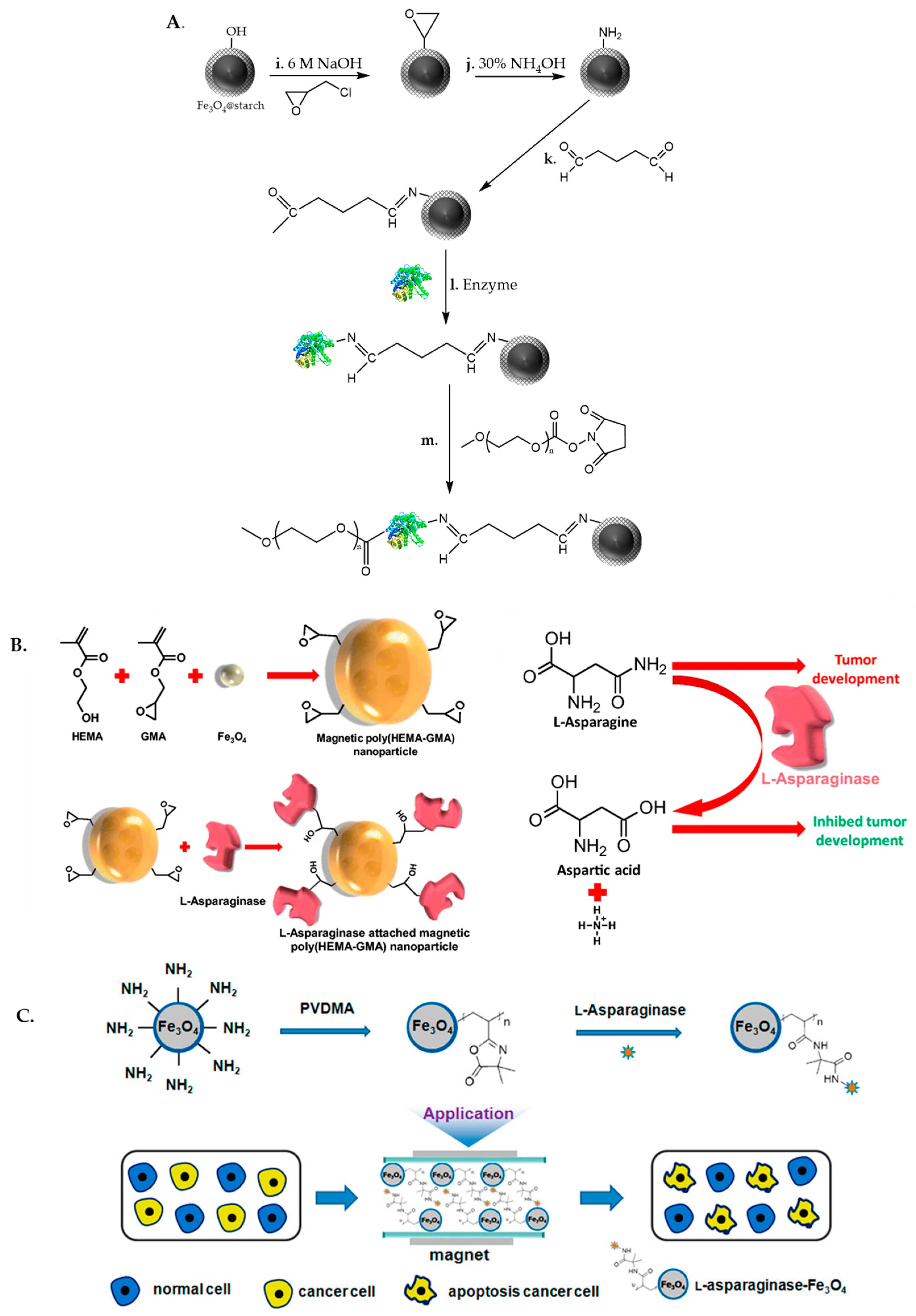 Catalysts 13 00980 g005