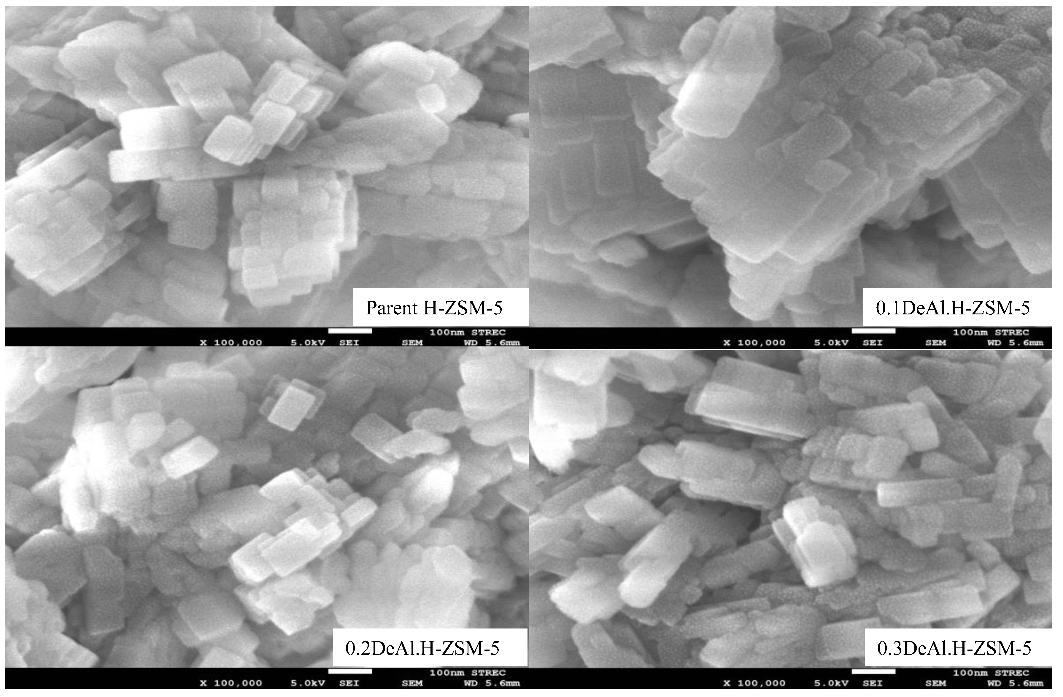 Catalysts 13 00982 g003