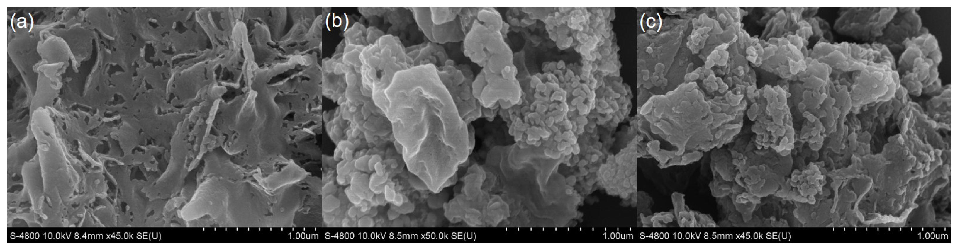 Catalysts 13 00983 g002 Catalysts 13 00983 g002