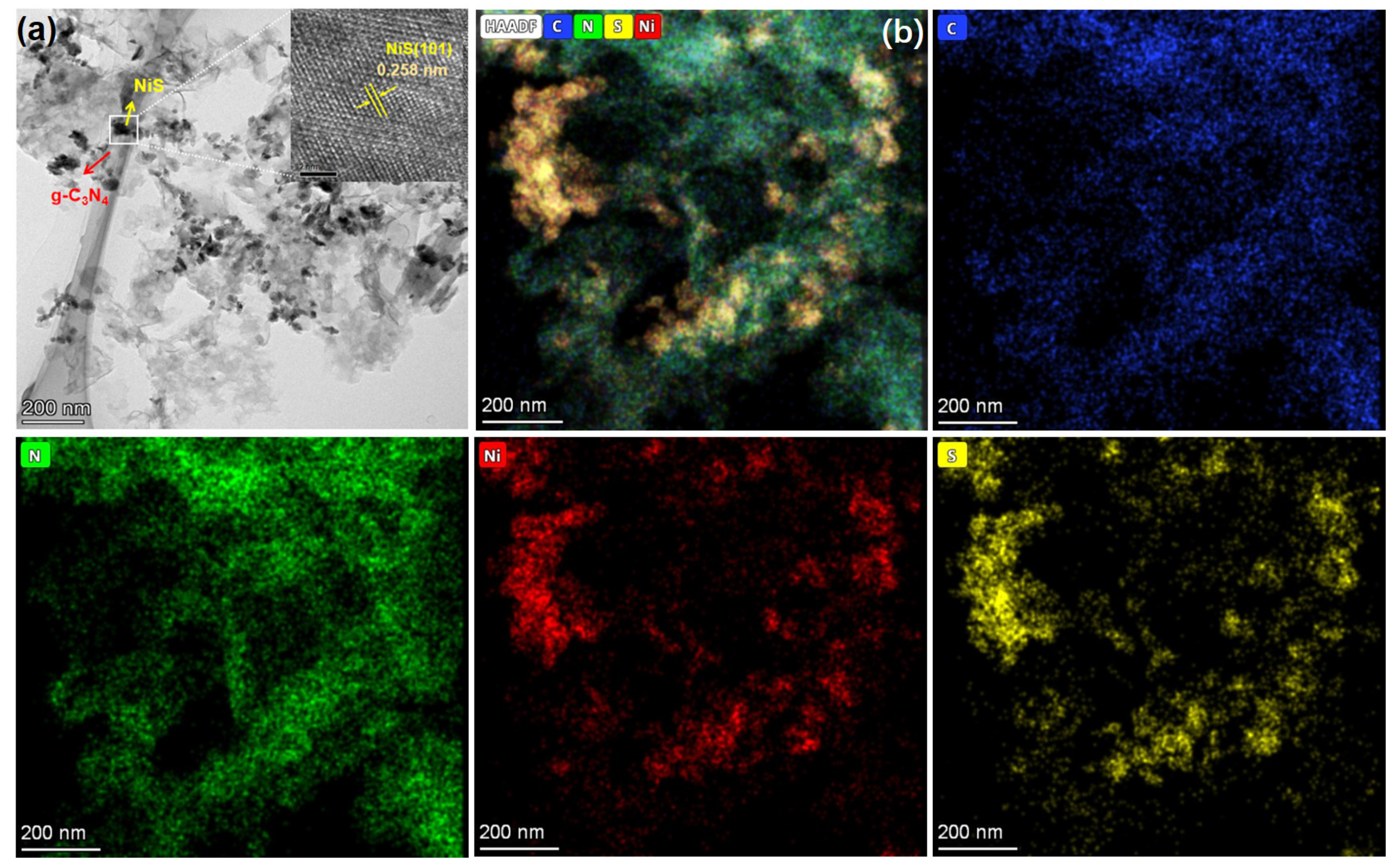 Catalysts 13 00983 g003 Catalysts 13 00983 g003