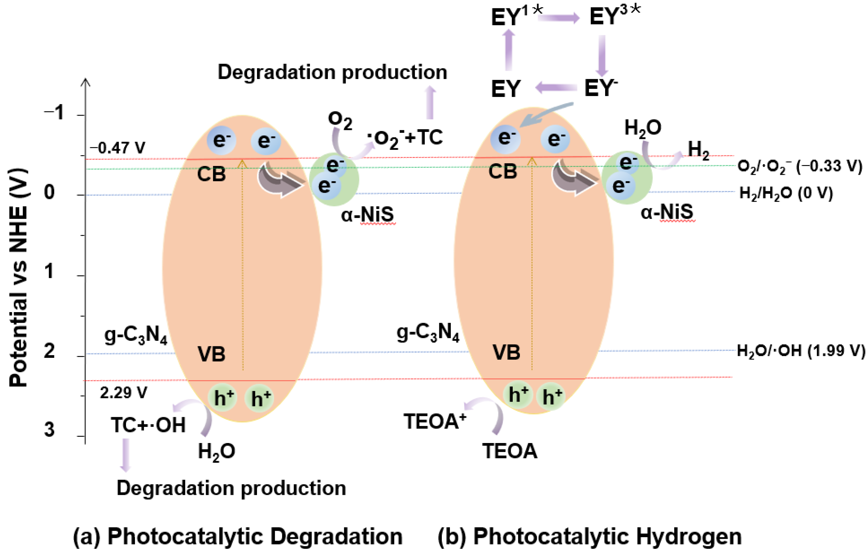 Catalysts 13 00983 g010 Catalysts 13 00983 g010