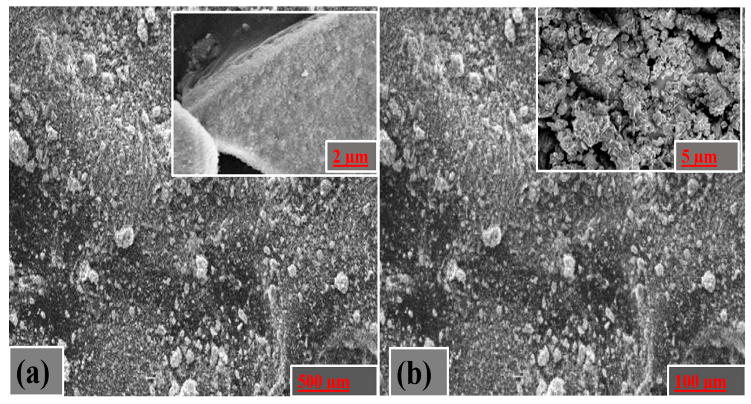 Catalysts 13 00984 g002