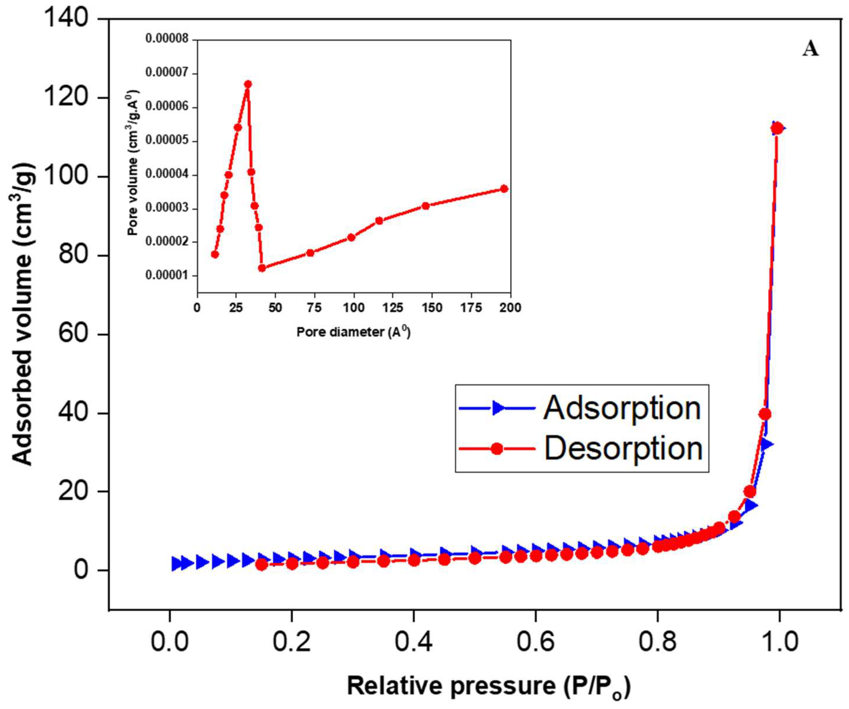 Catalysts 13 00985 g006a
