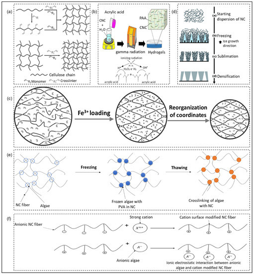 Catalysts 13 00986 g002
