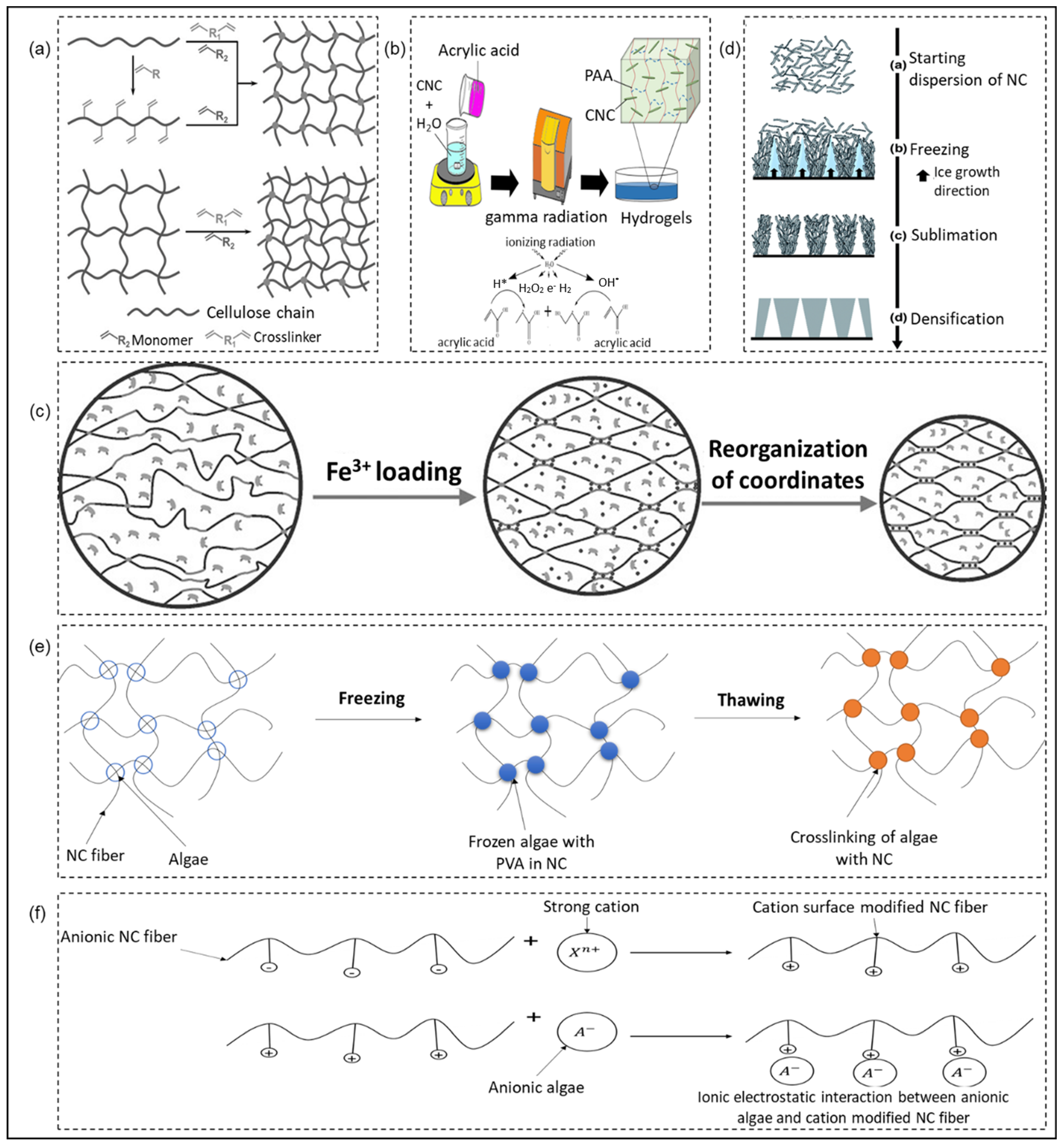 Catalysts 13 00986 g002