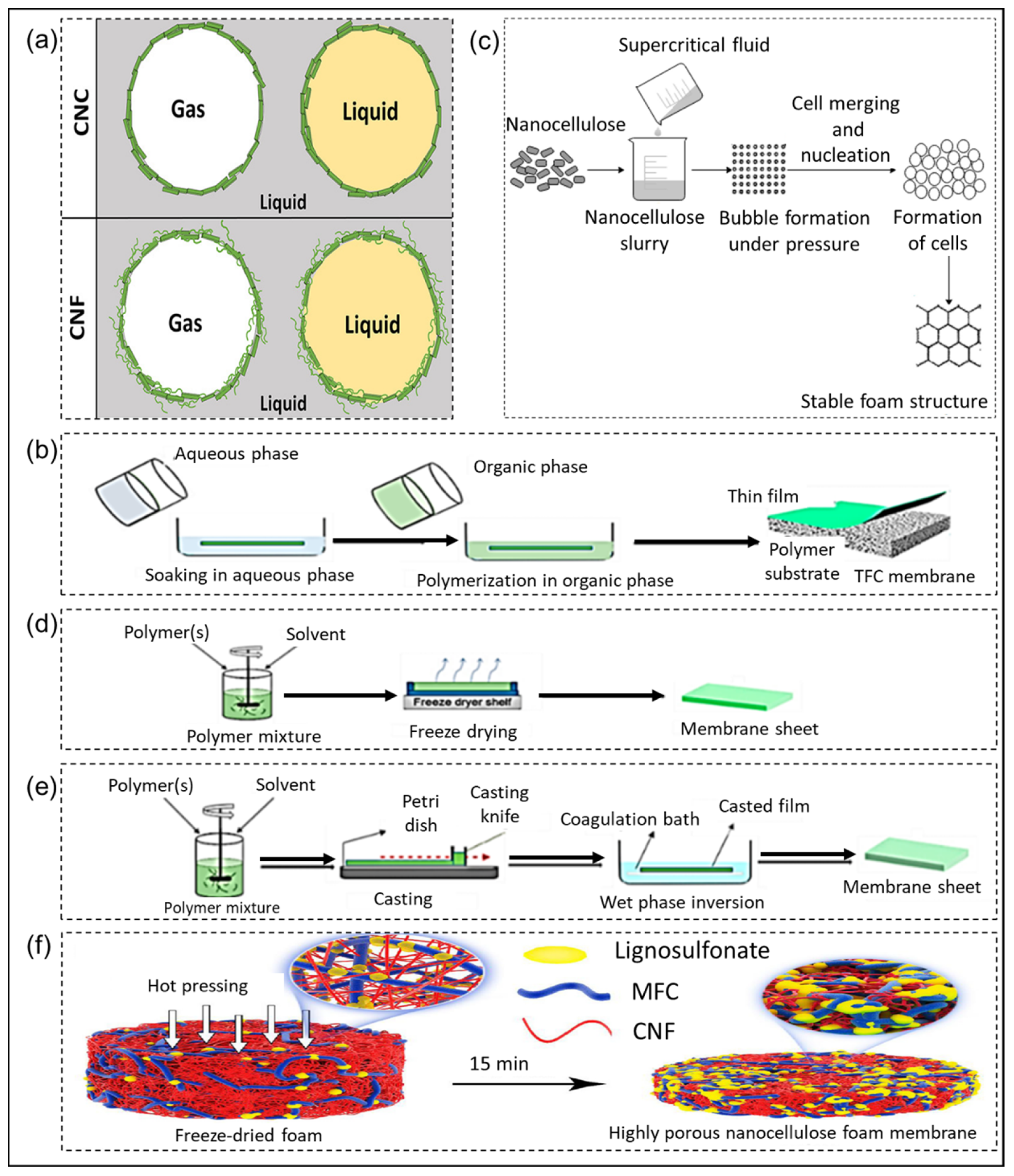 Catalysts 13 00986 g003
