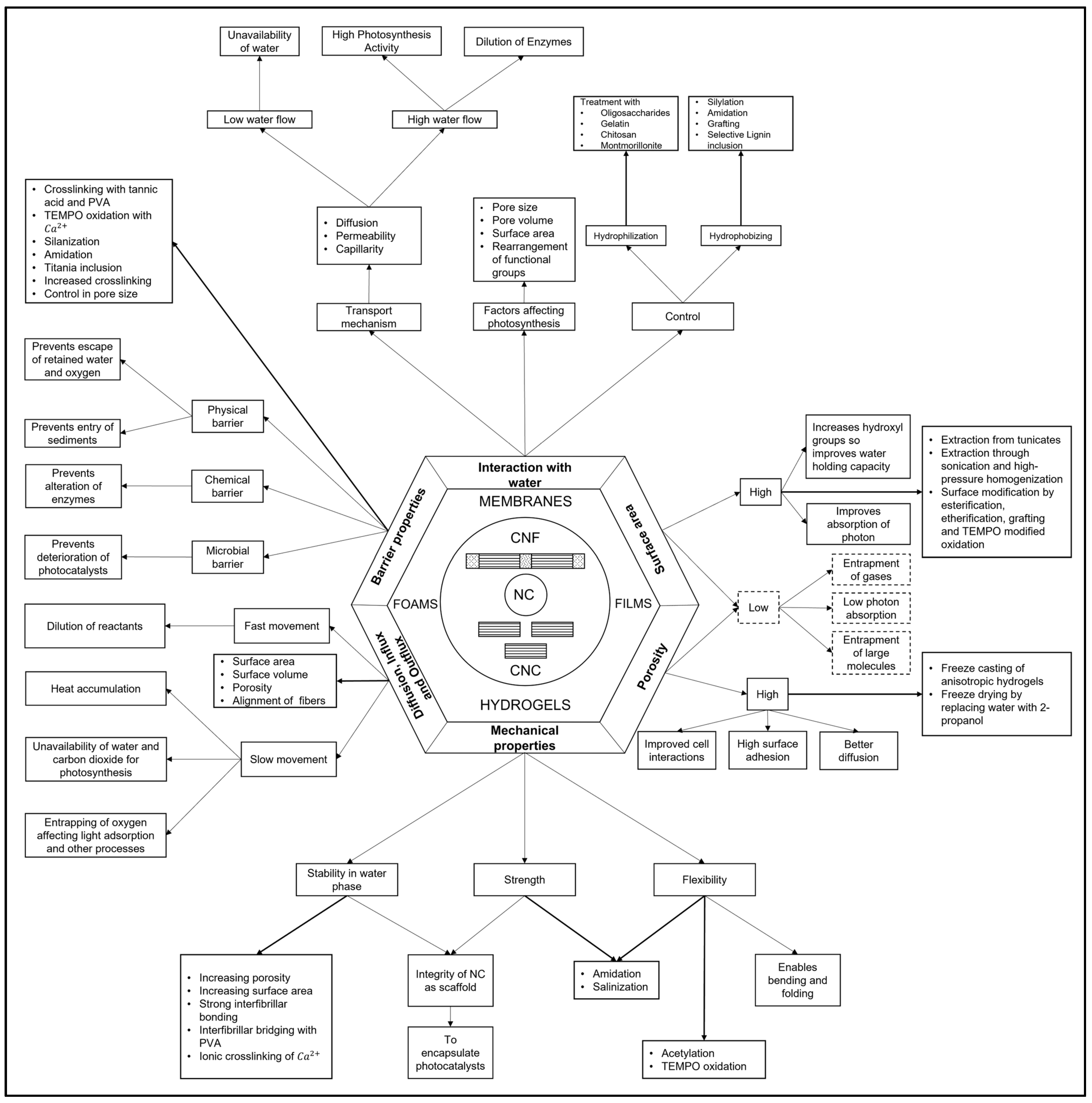 Catalysts 13 00986 g004