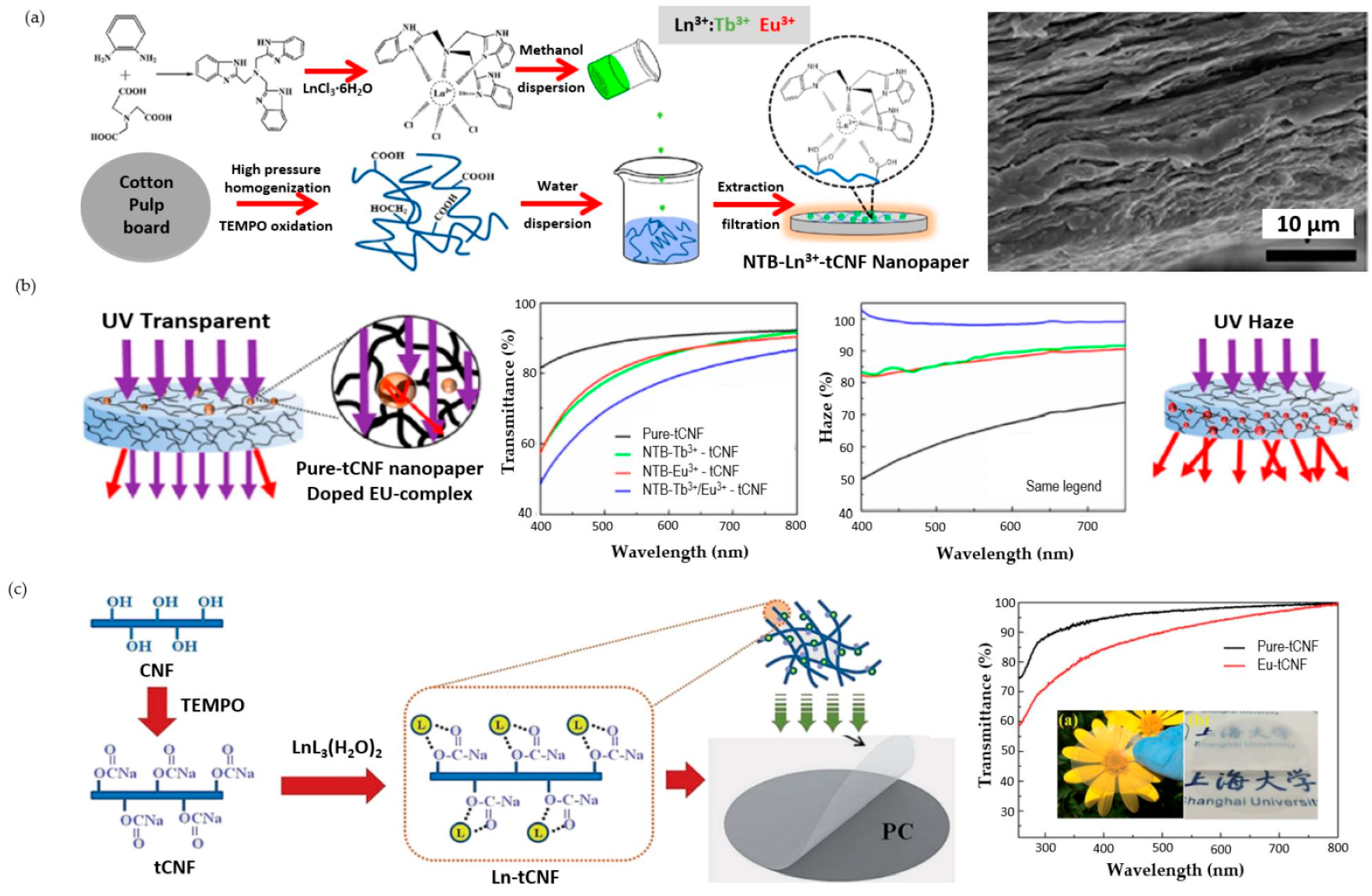 Catalysts 13 00986 g007