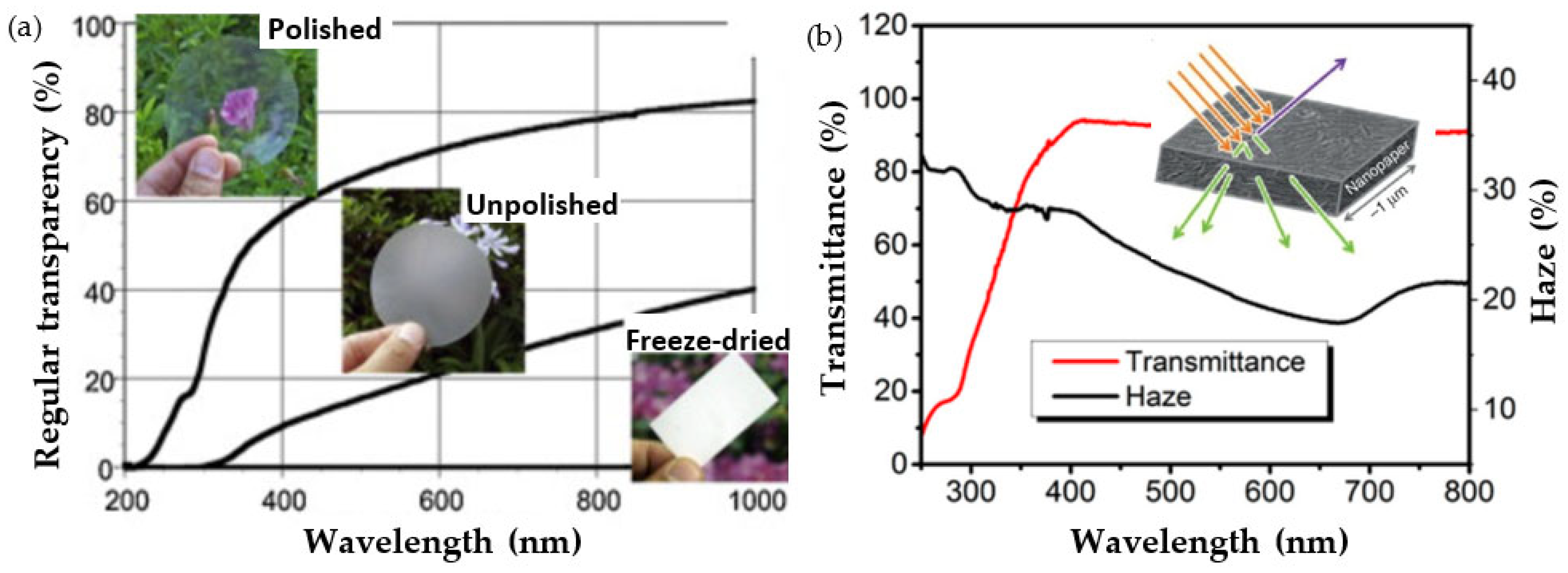 Catalysts 13 00986 g008