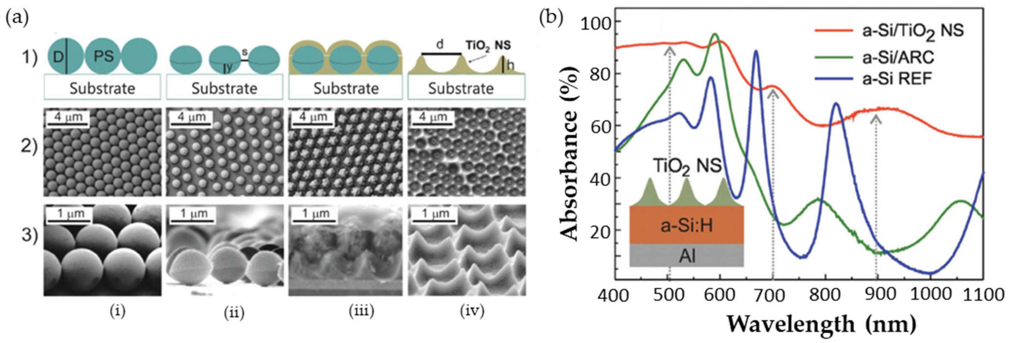 Catalysts 13 00986 g011