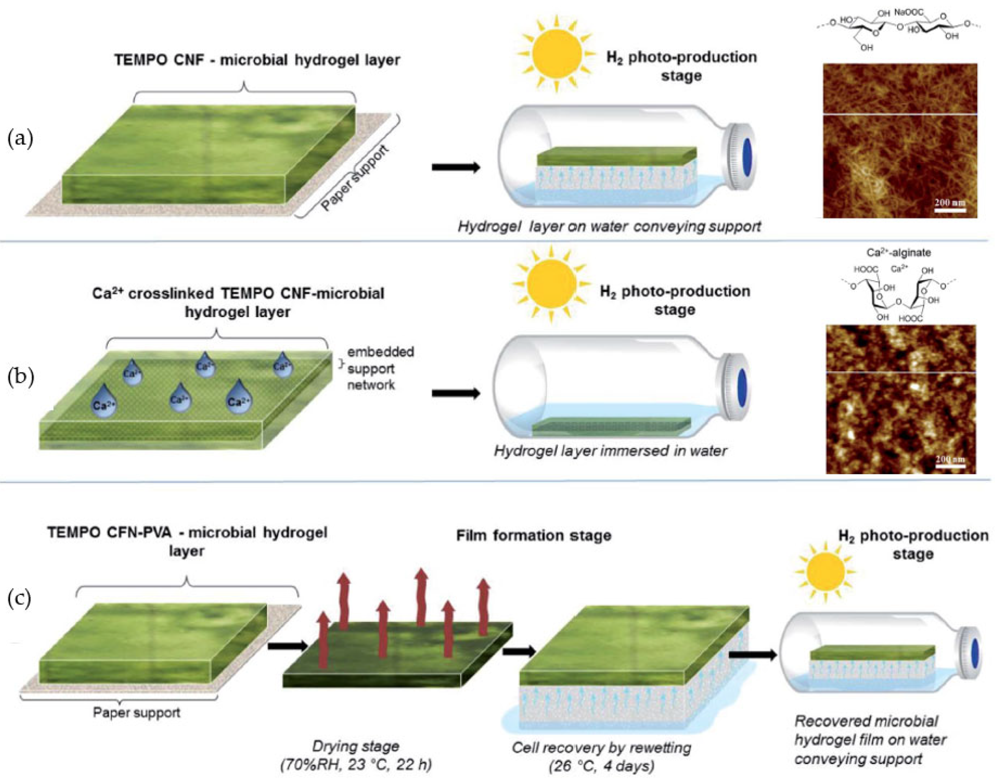 Catalysts 13 00986 g017