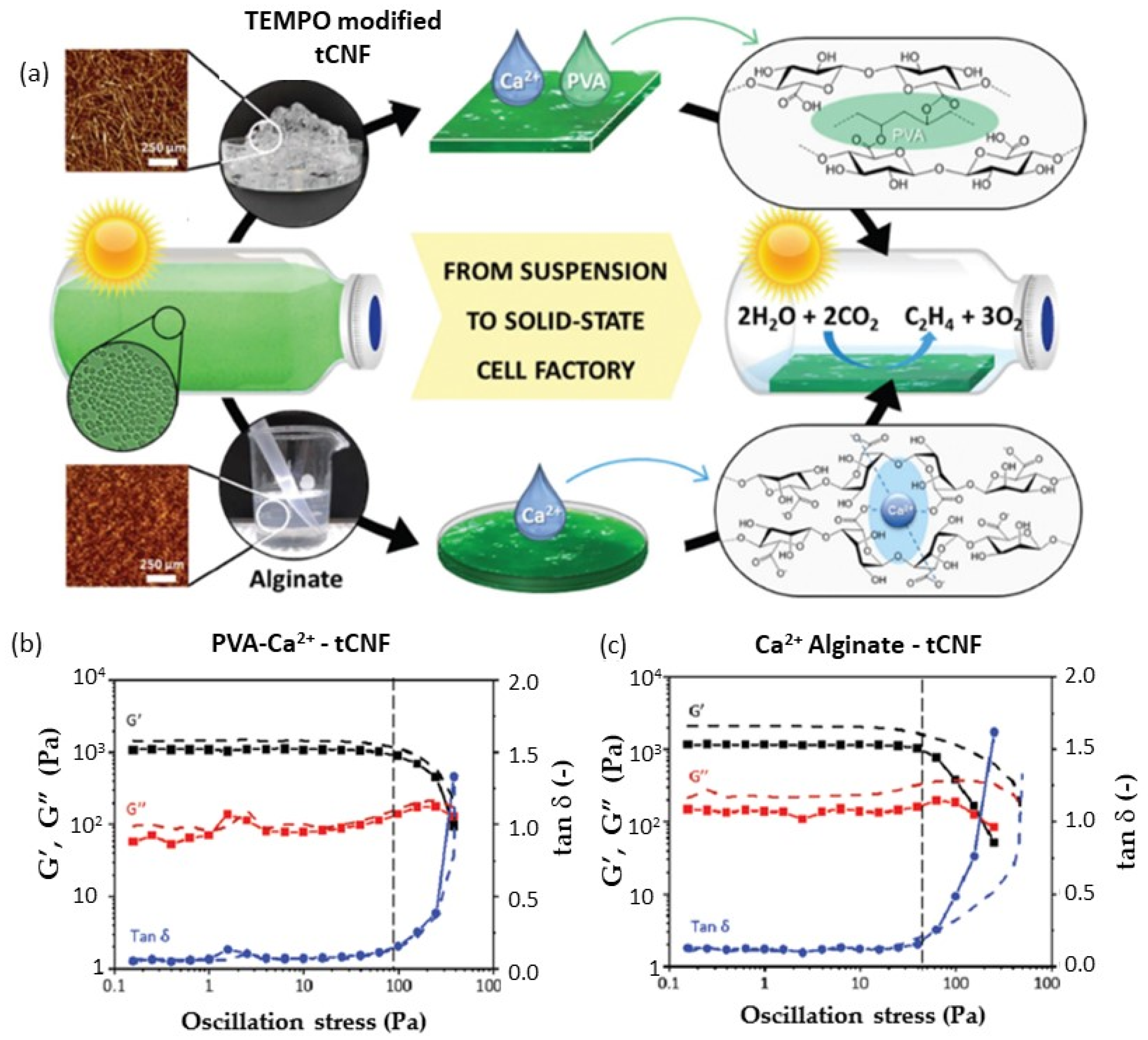 Catalysts 13 00986 g018