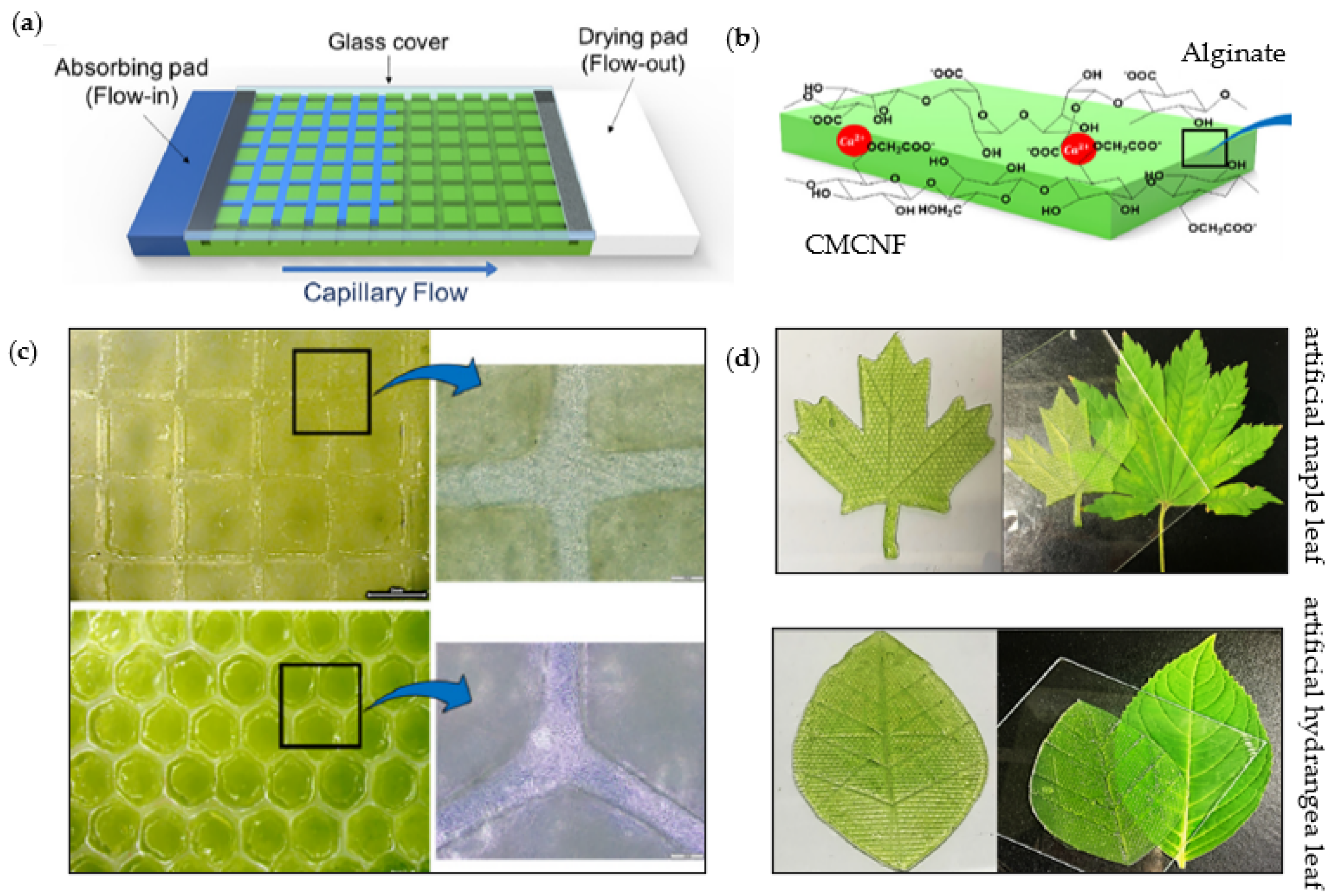 Catalysts 13 00986 g022