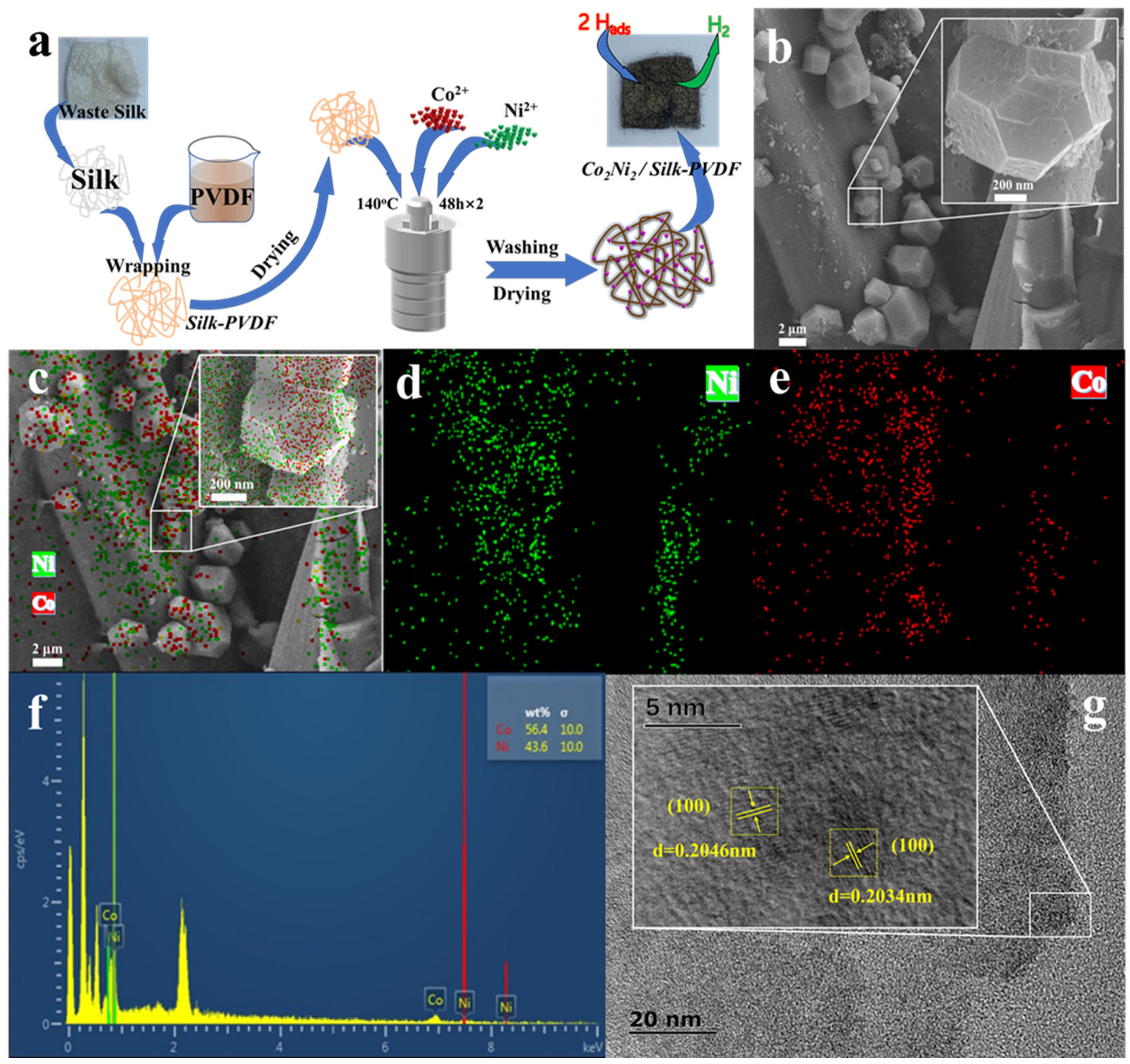 Catalysts 13 00987 g001