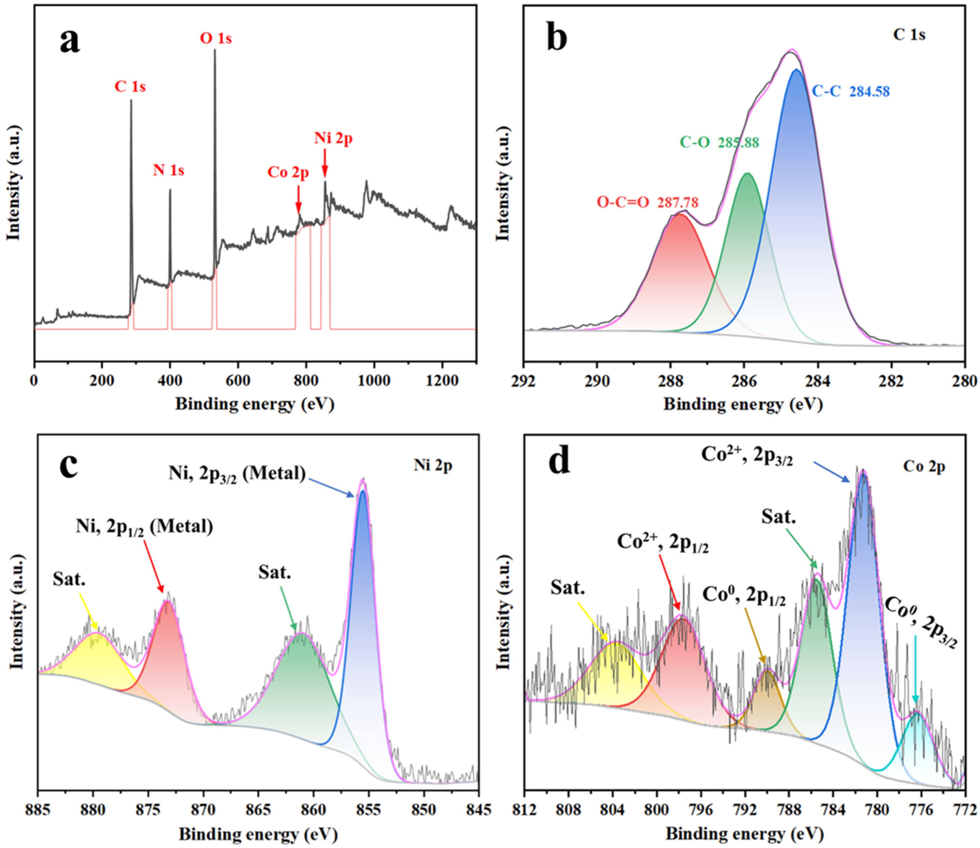 Catalysts 13 00987 g003