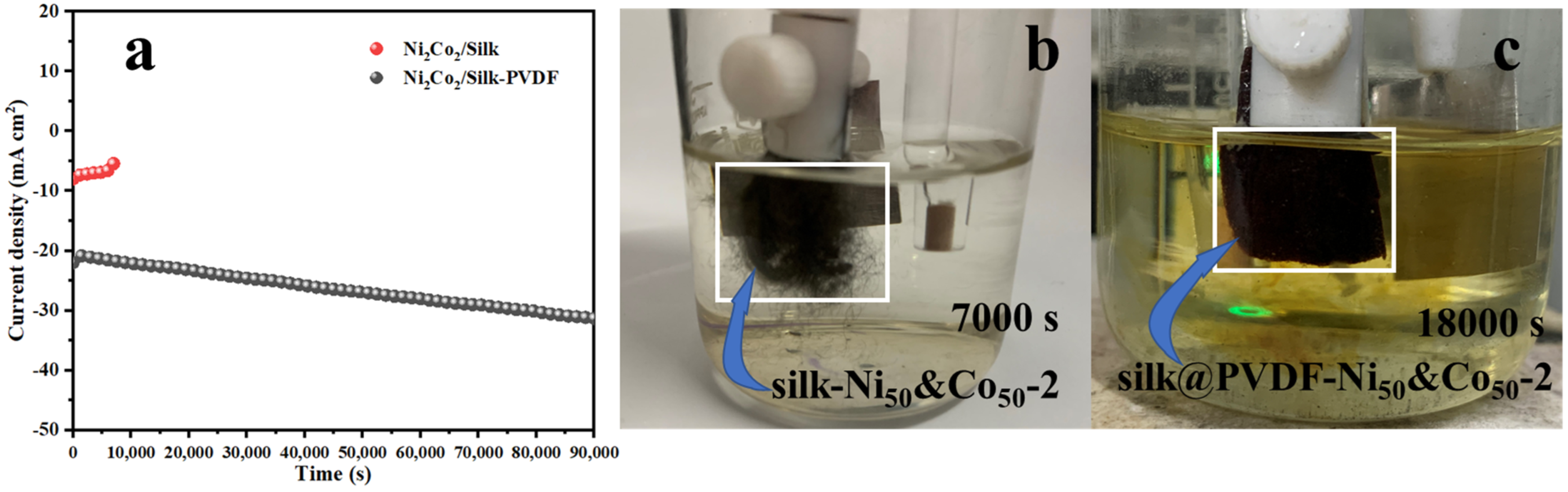 Catalysts 13 00987 g006