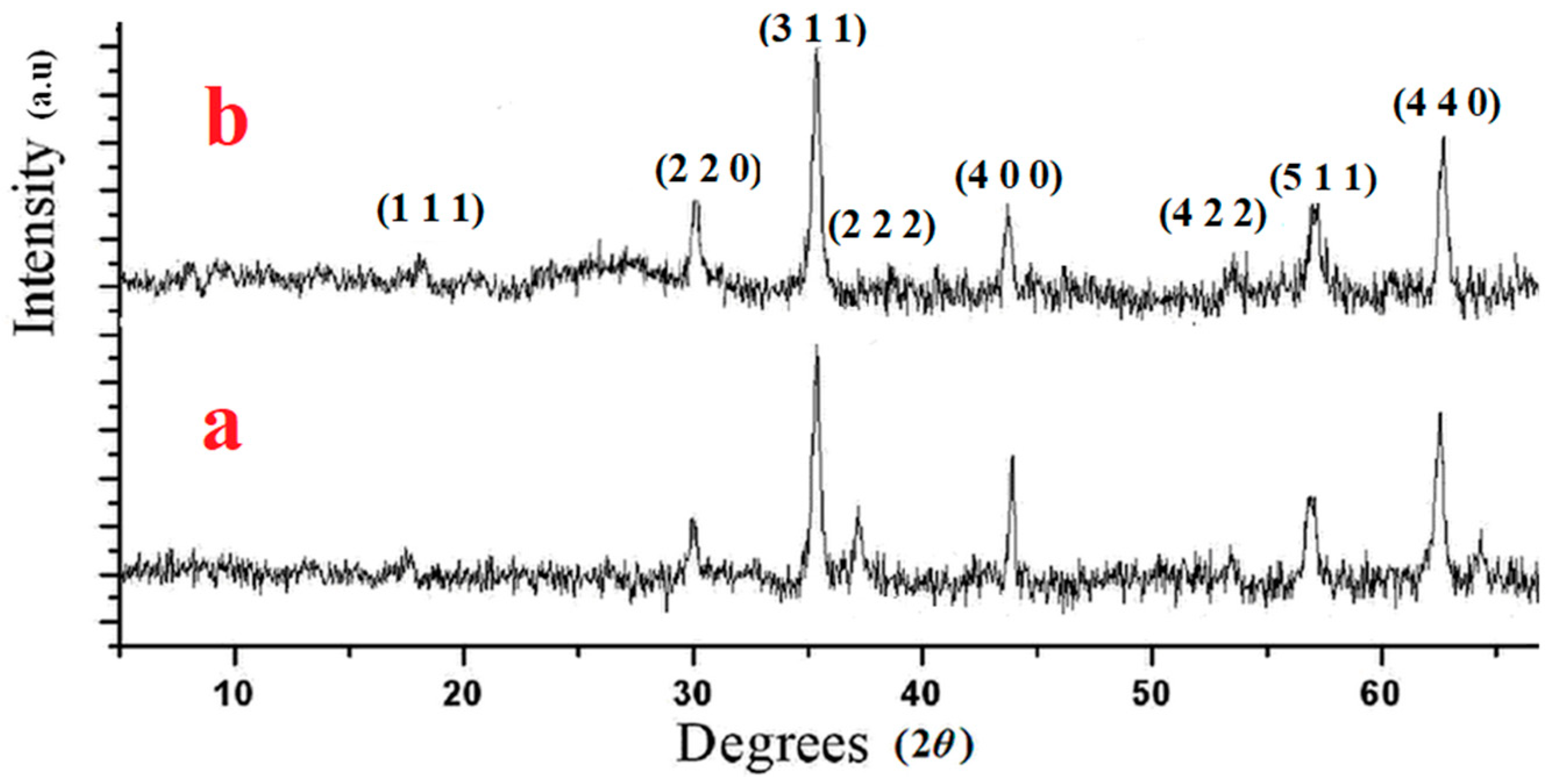 Catalysts 13 00989 g002 Catalysts 13 00989 g002