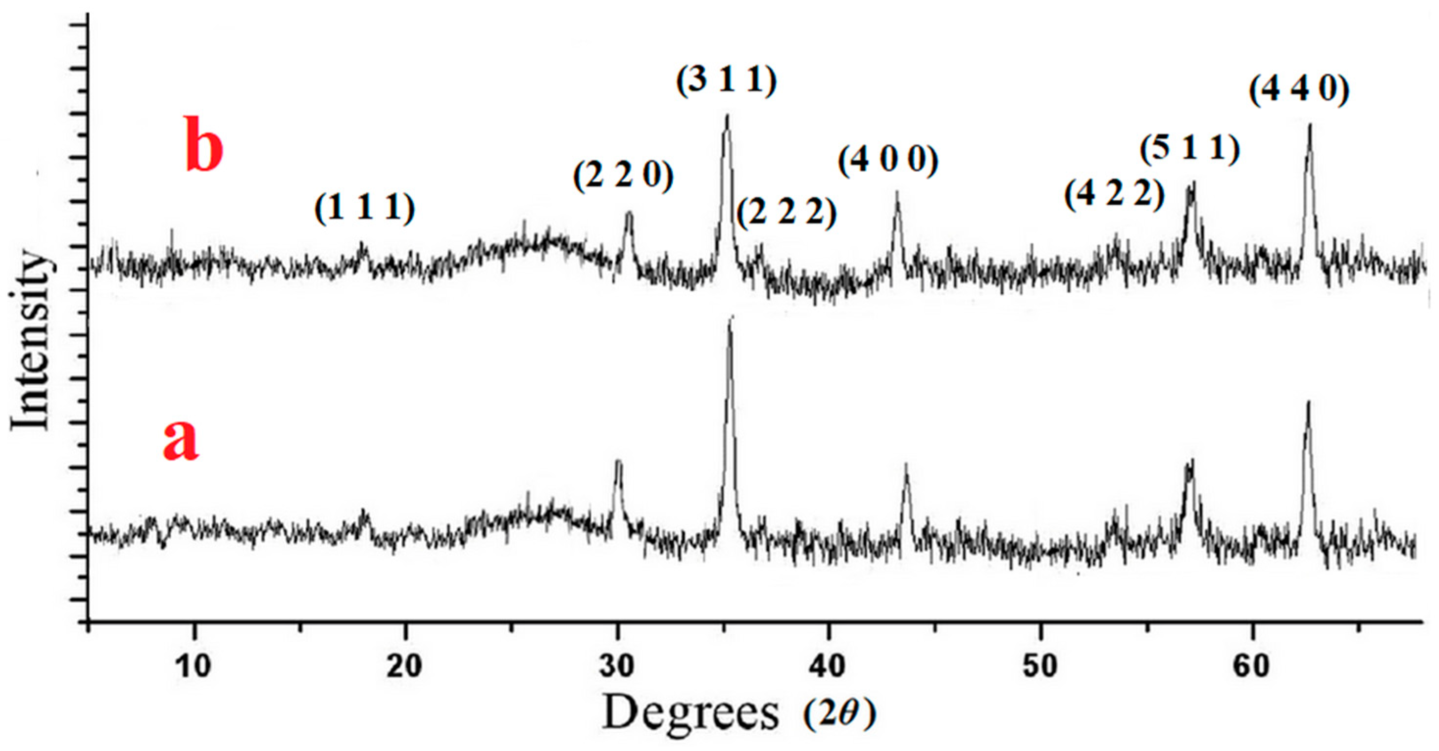 Catalysts 13 00989 g004 Catalysts 13 00989 g004