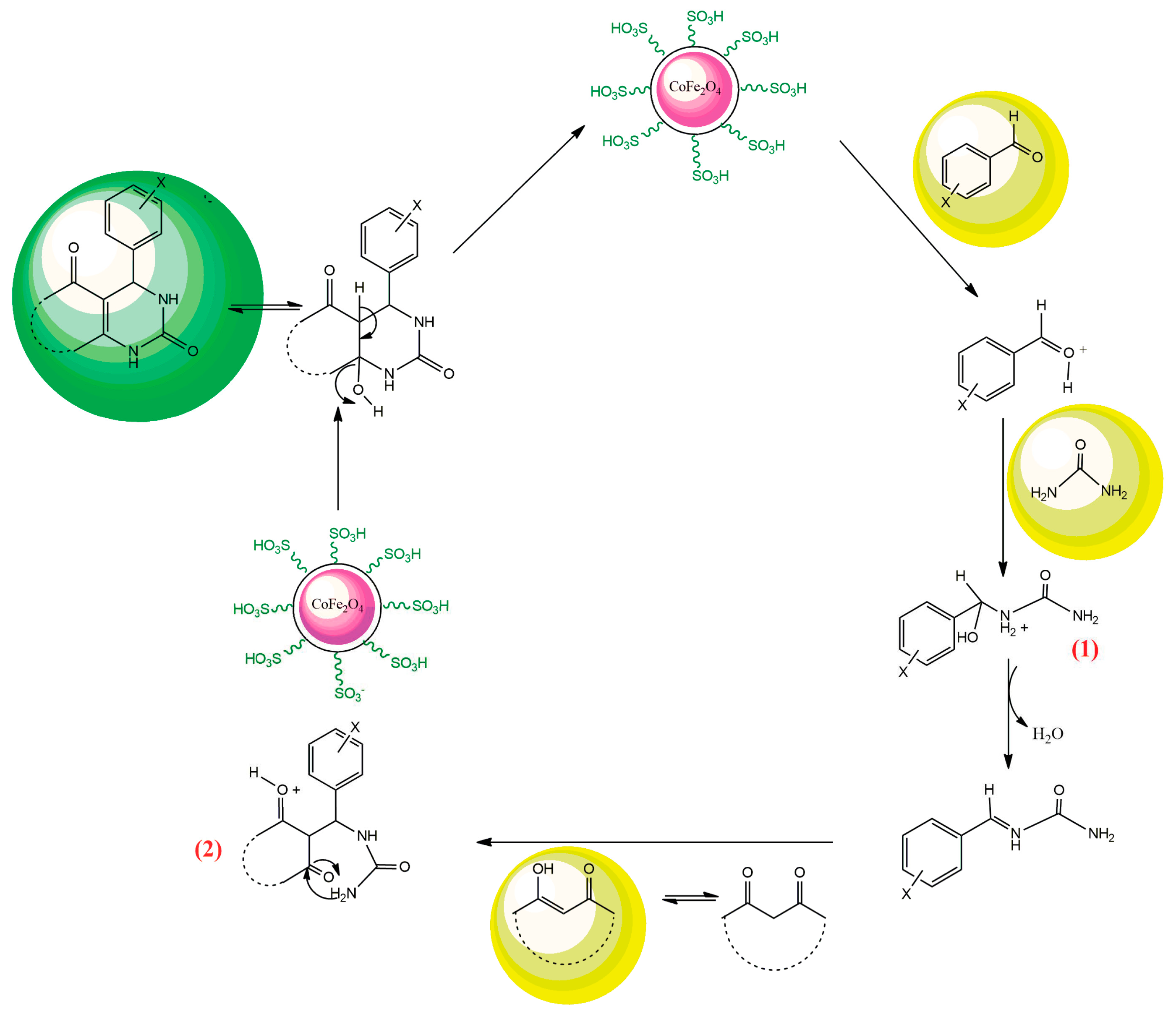 Catalysts 13 00989 sch002 Catalysts 13 00989 sch002