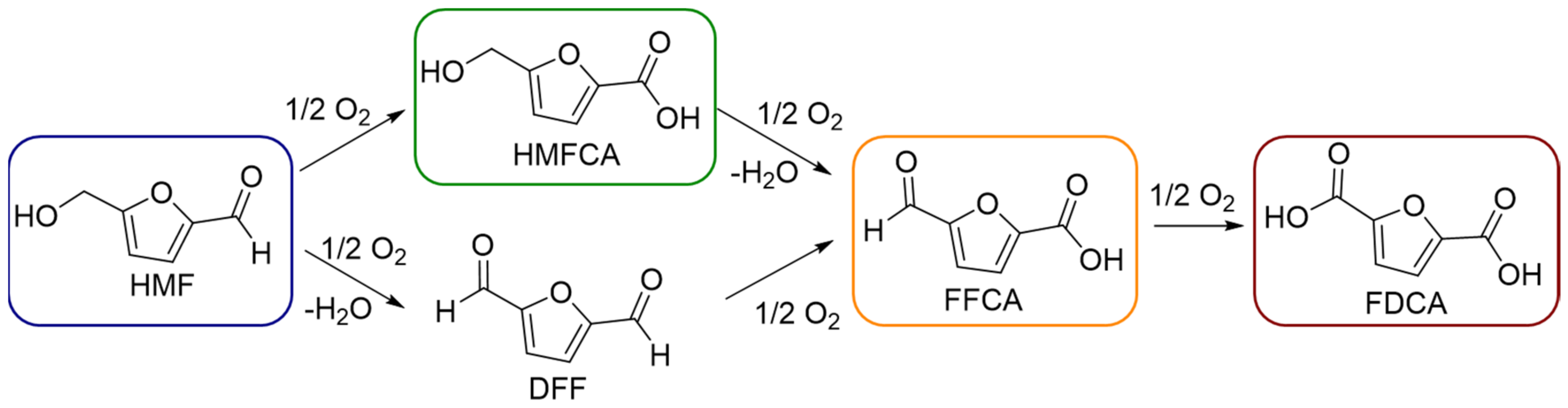 Catalysts 13 00990 sch001