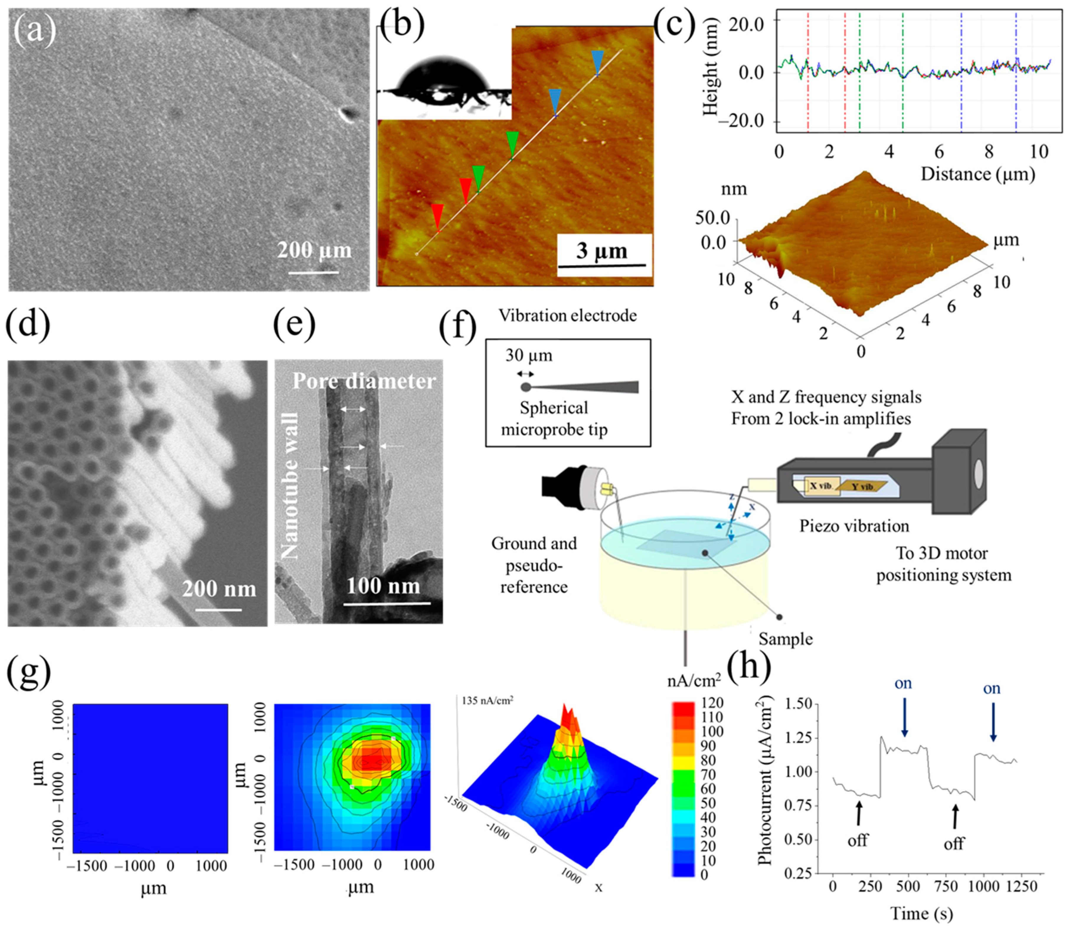 Catalysts 13 00993 g001