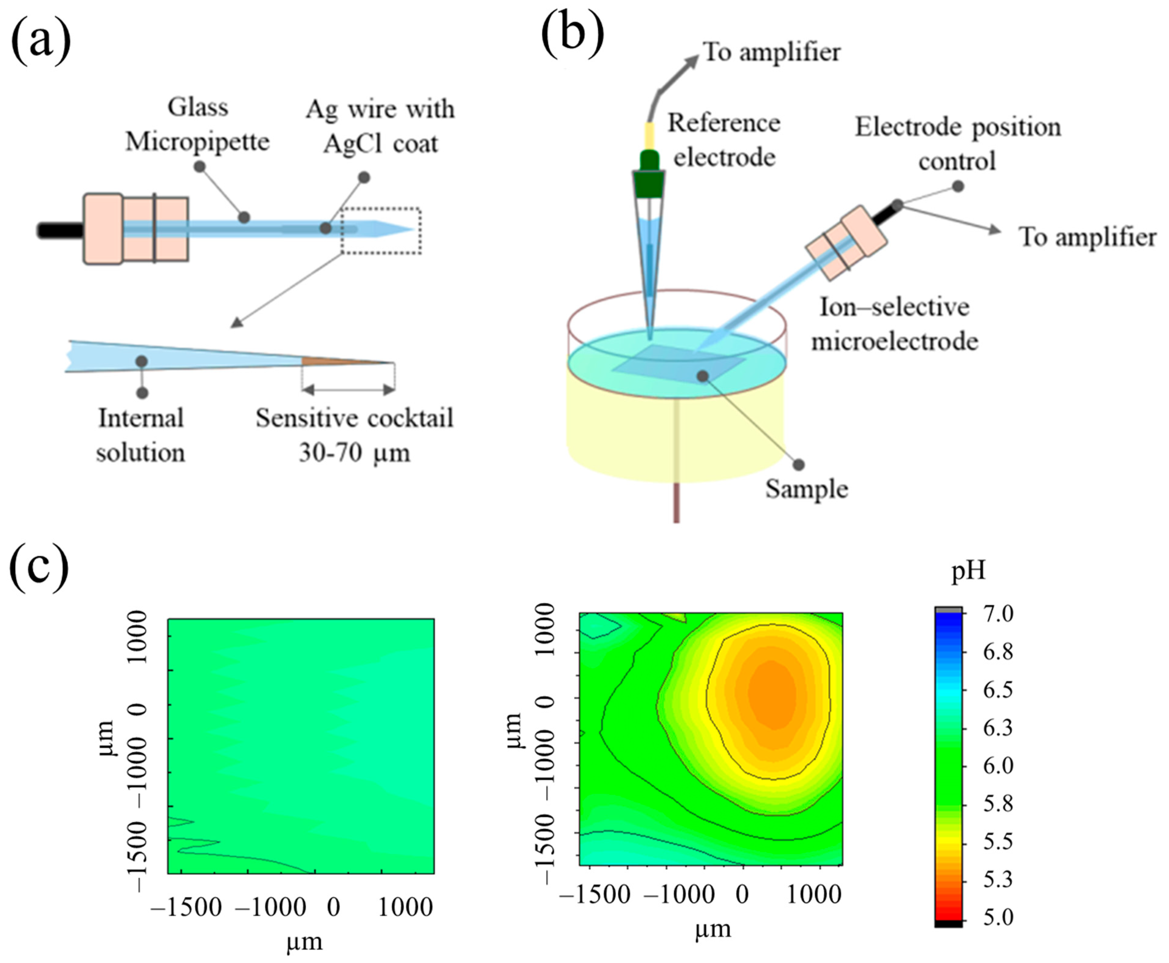 Catalysts 13 00993 g002