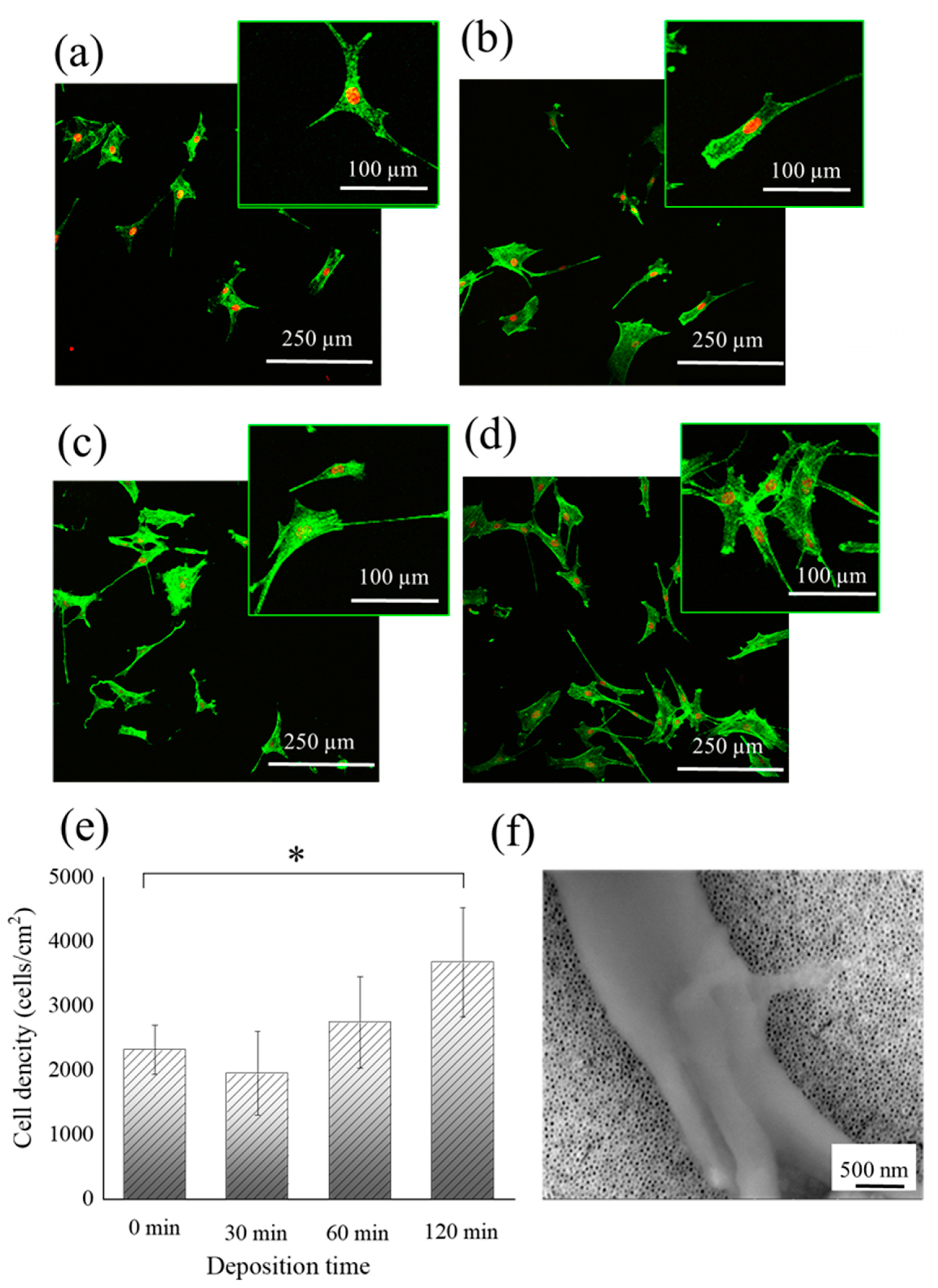 Catalysts 13 00993 g005