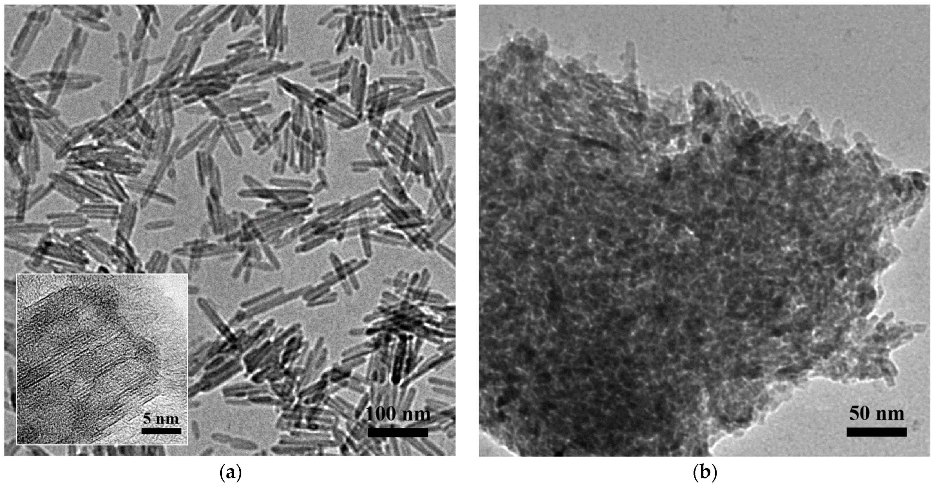 Catalysts 13 00994 g001