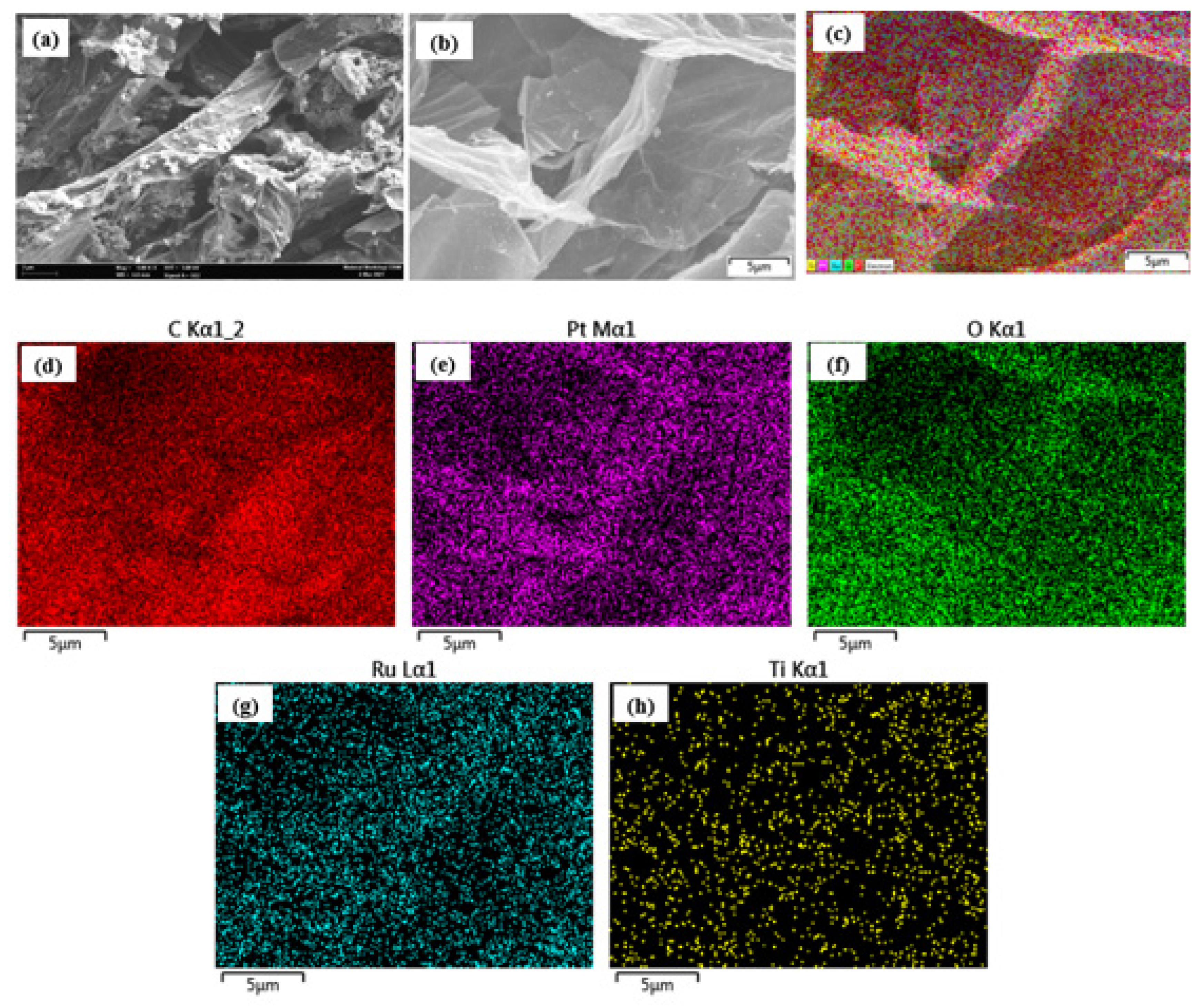 Catalysts 13 01001 g001