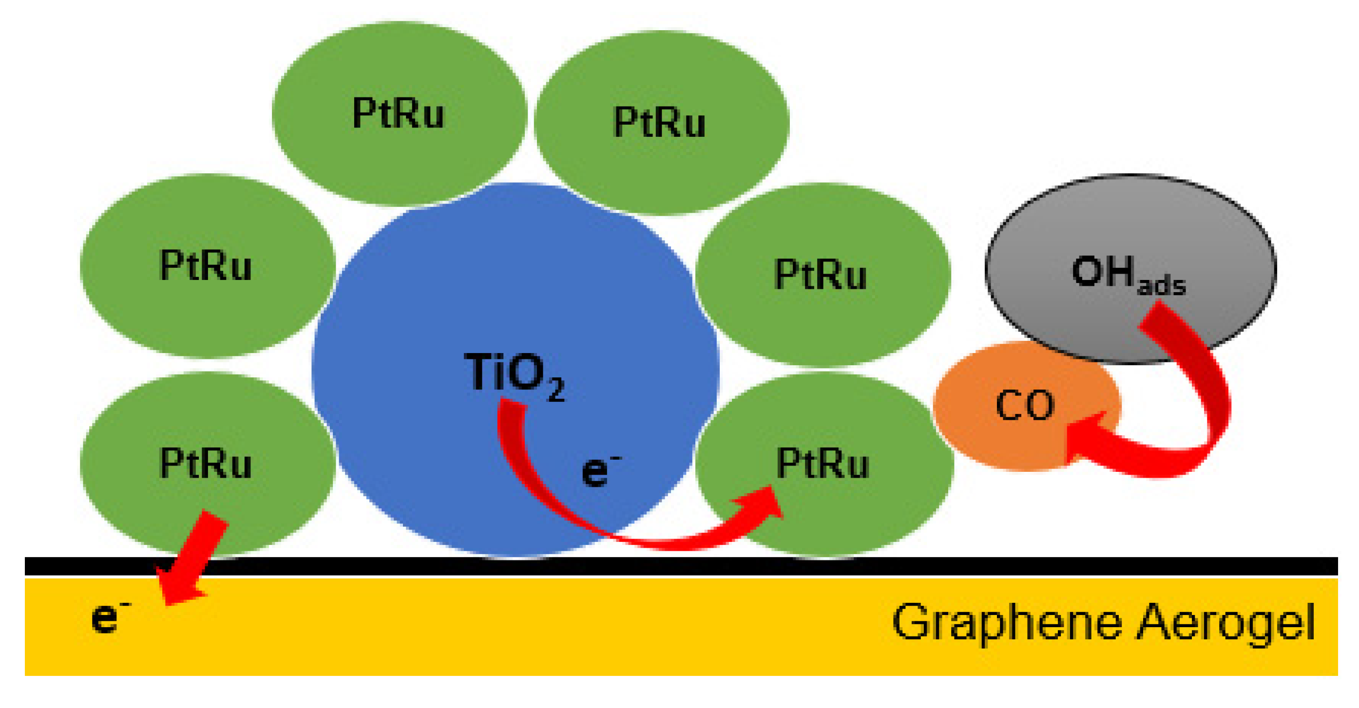 Catalysts 13 01001 g002