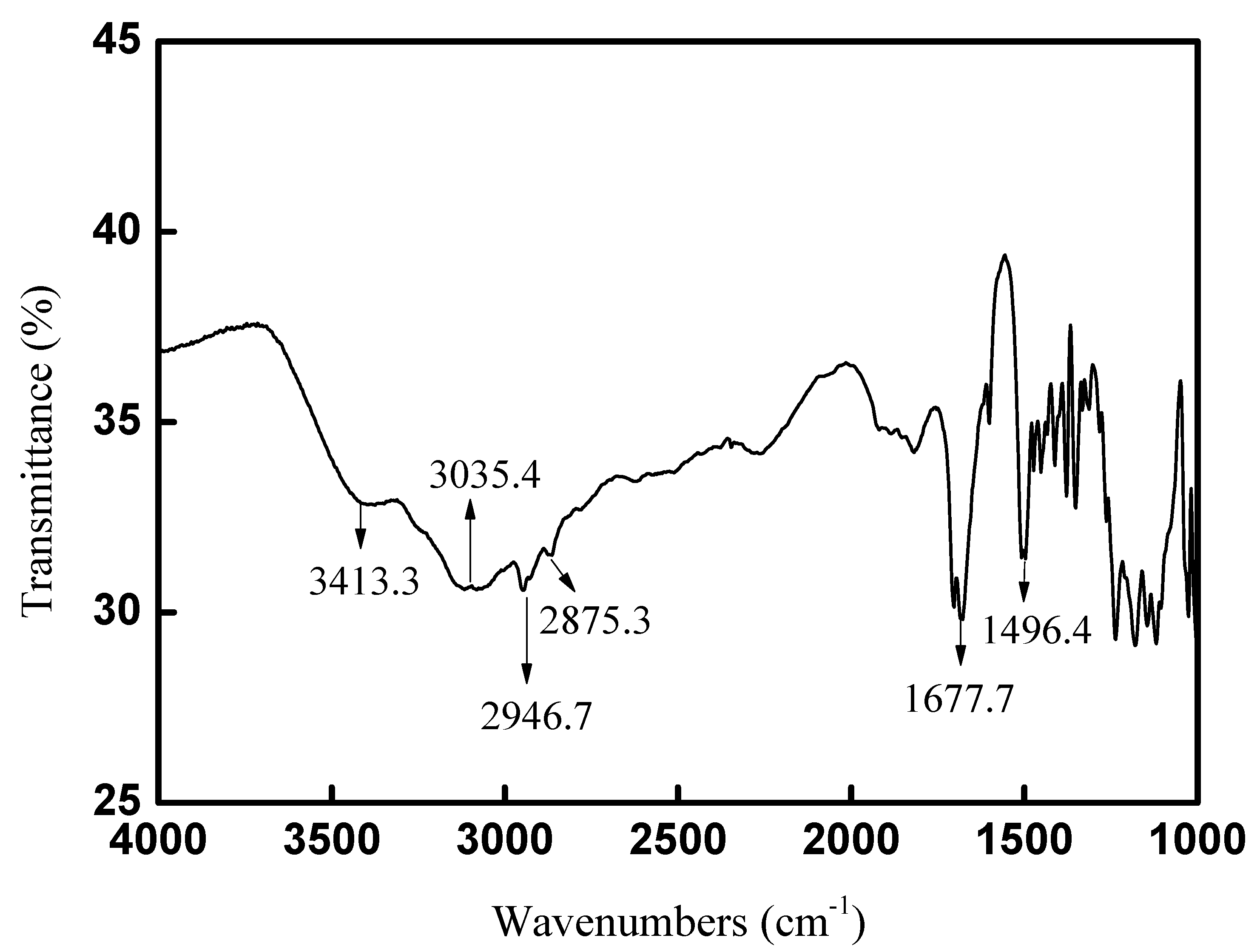 Catalysts 13 01002 g003