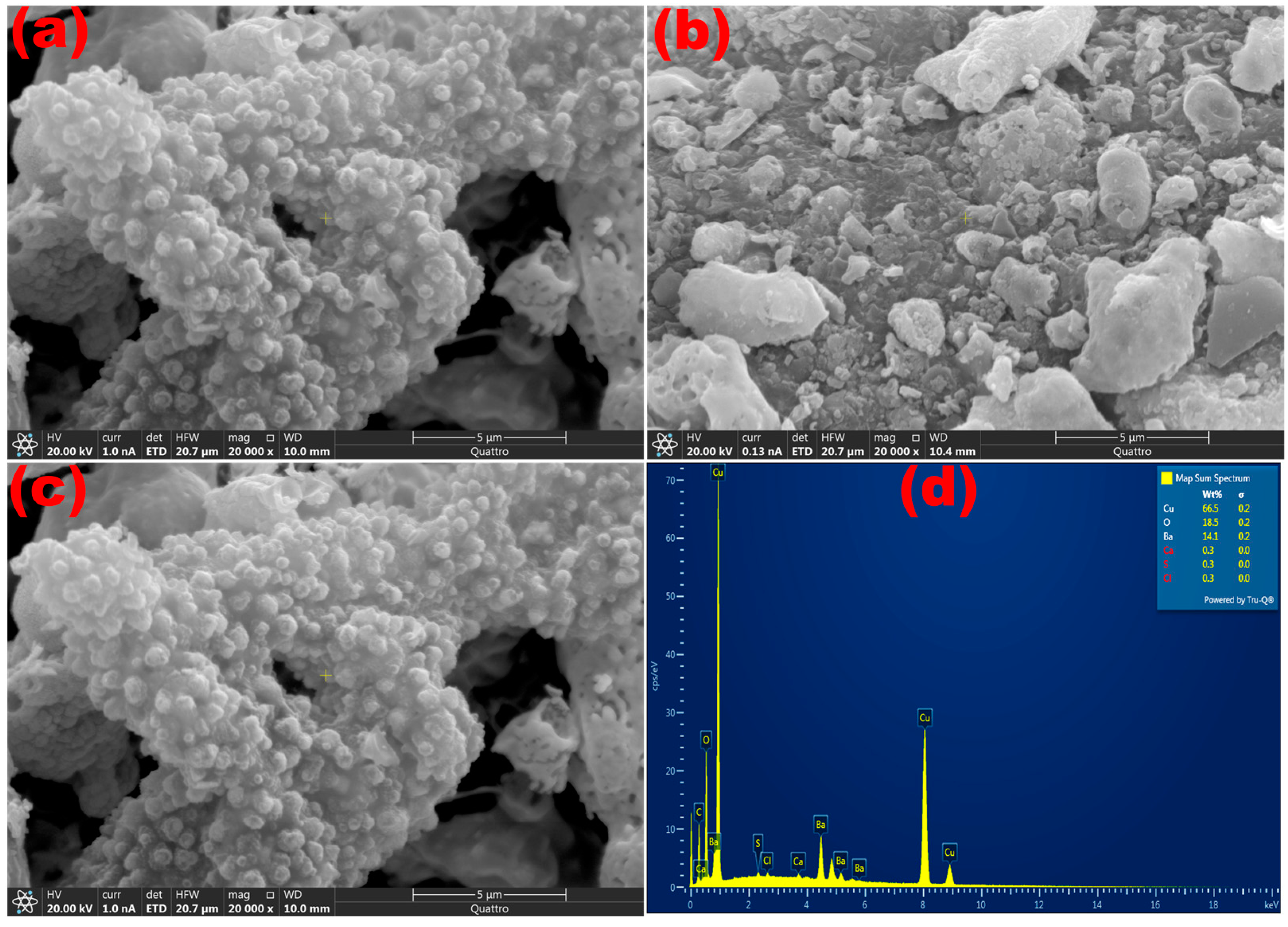 Catalysts 13 01010 g004