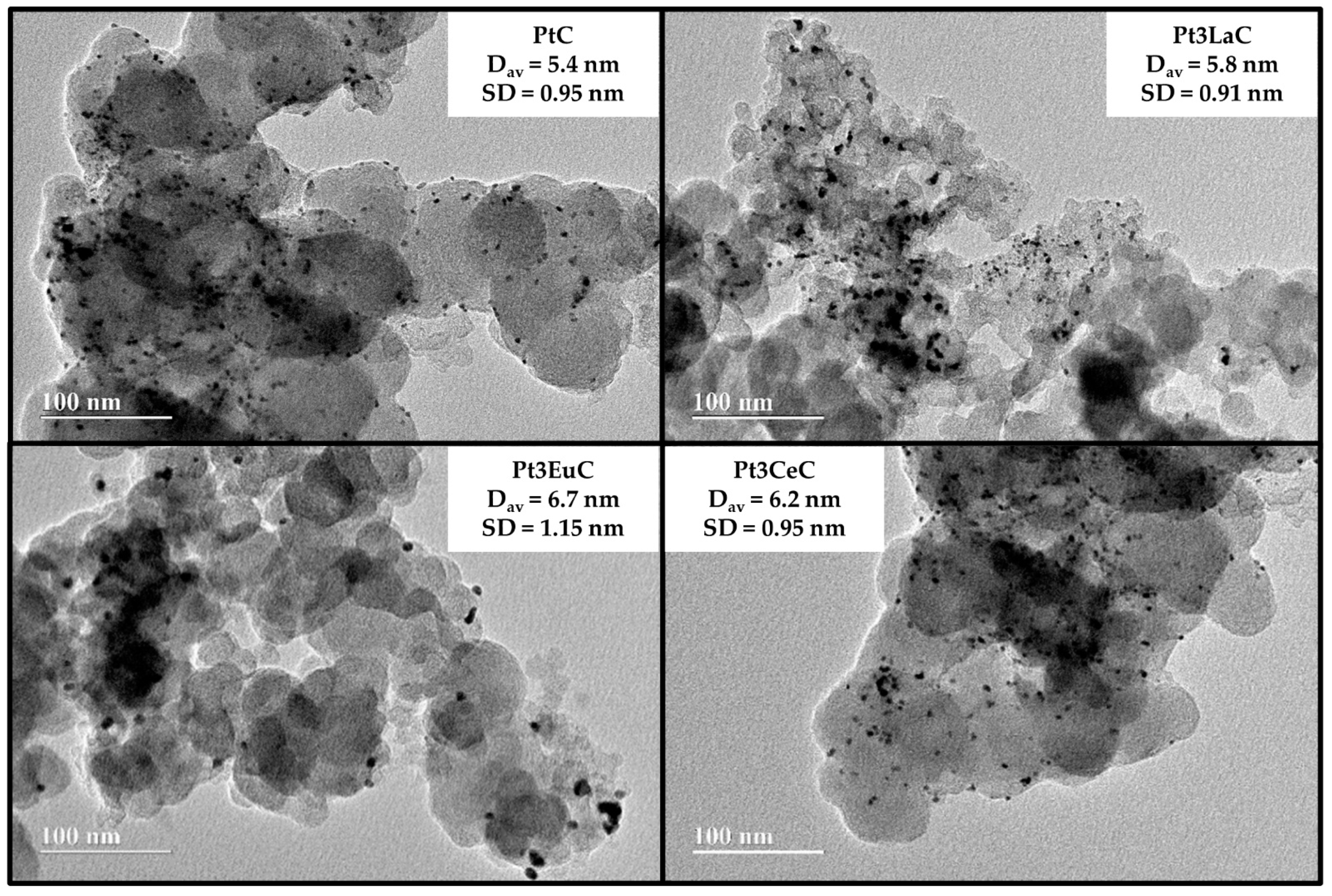 Catalysts 13 01011 g002
