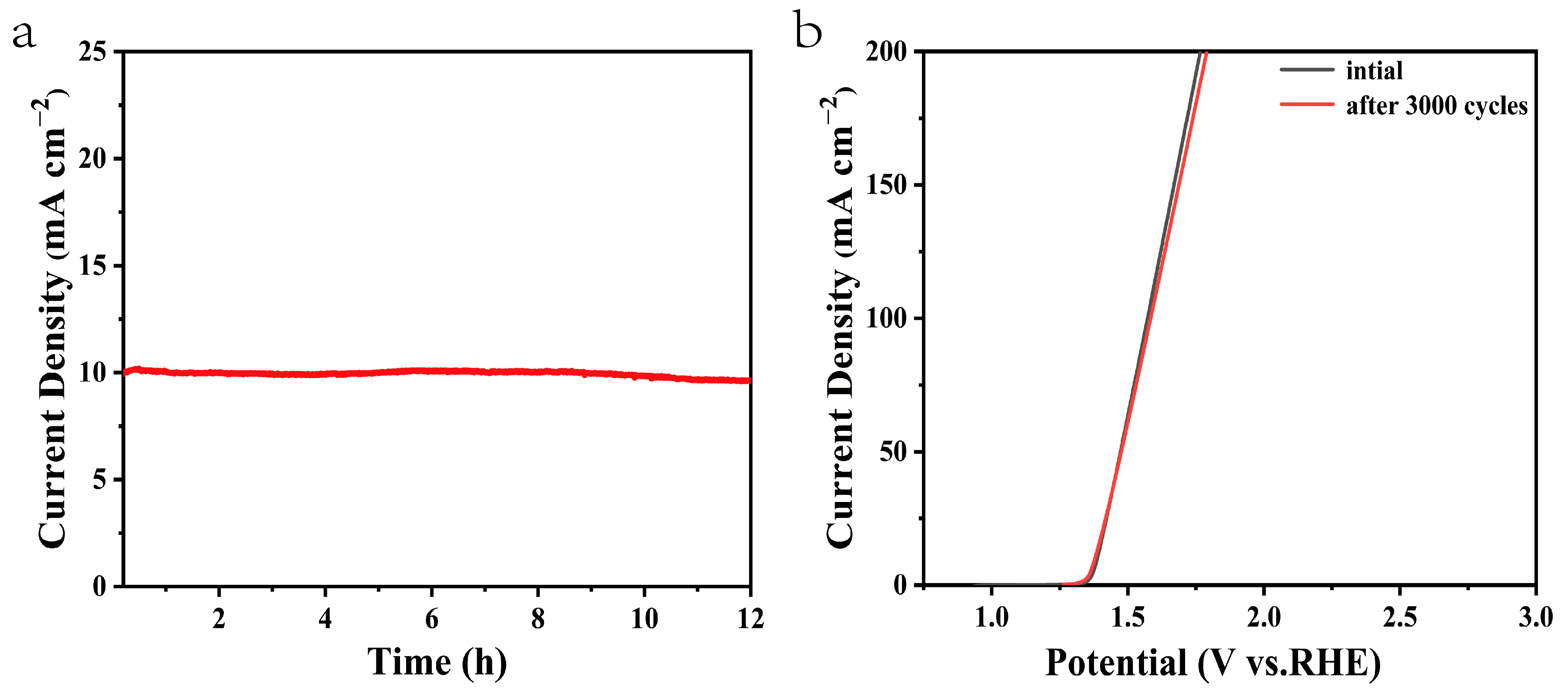 Catalysts 13 01012 g008