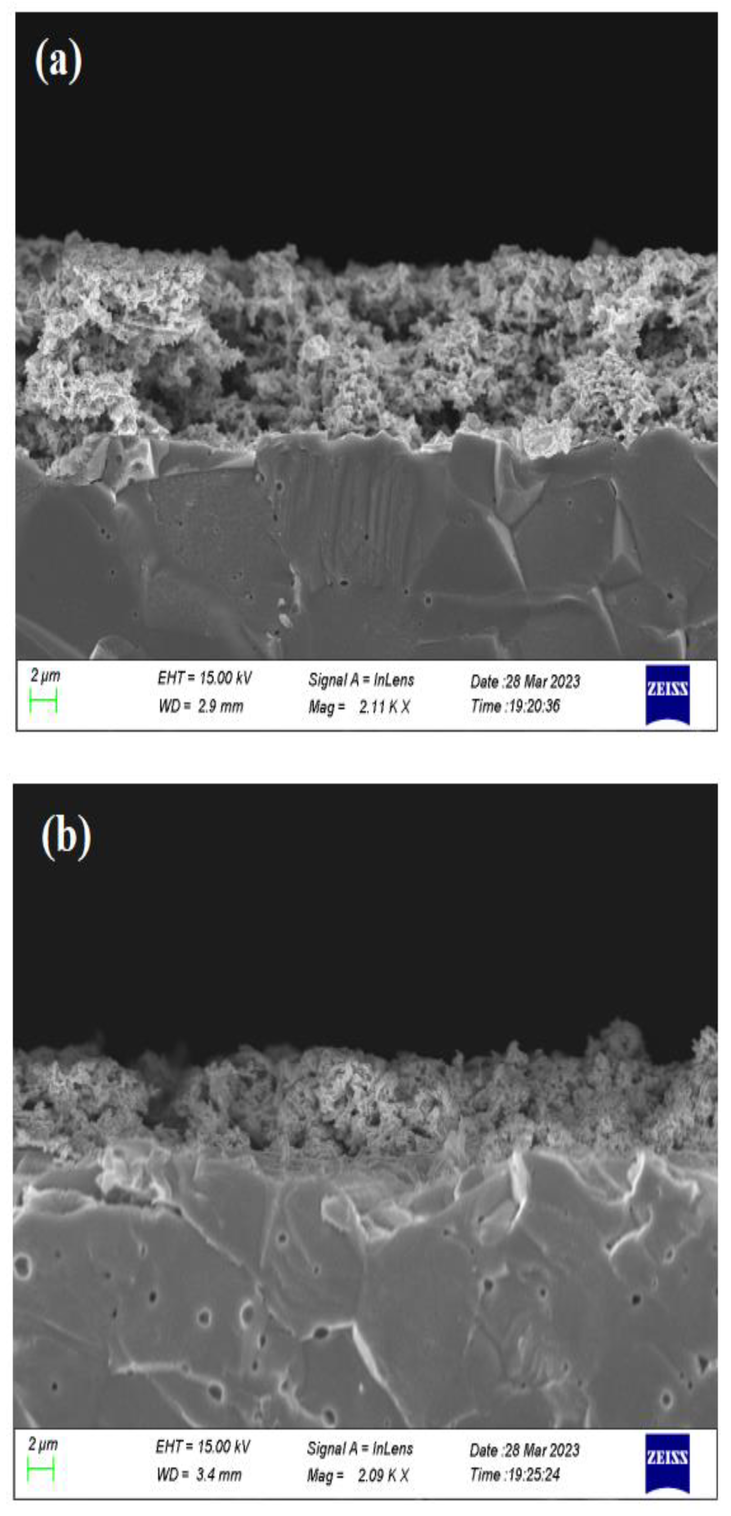 Catalysts 13 01014 g012 Catalysts 13 01014 g012
